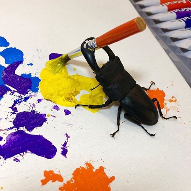 I&rsquo;ve got competition. #naturecreates #bugart #beetles #paintmixing #bigprojects #littlebodies 📸 @insecthaus_adi