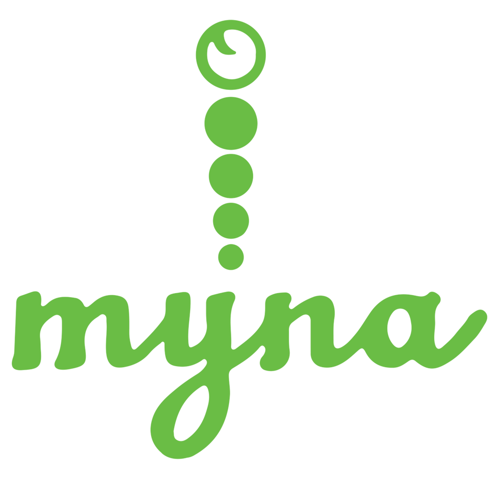 Myna Poster About — Muslim Youth of North America