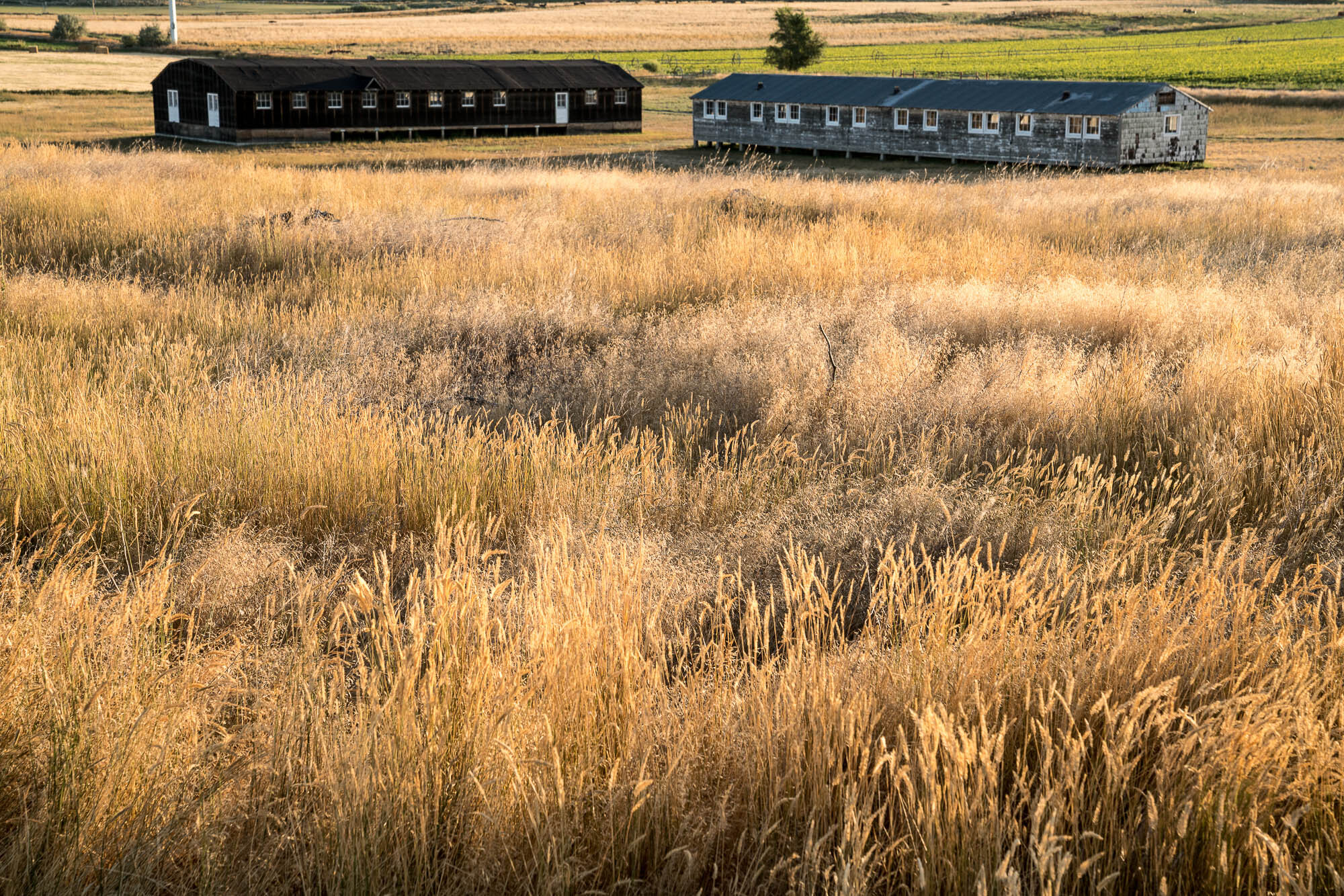 Minidoka (6 of 11).jpg