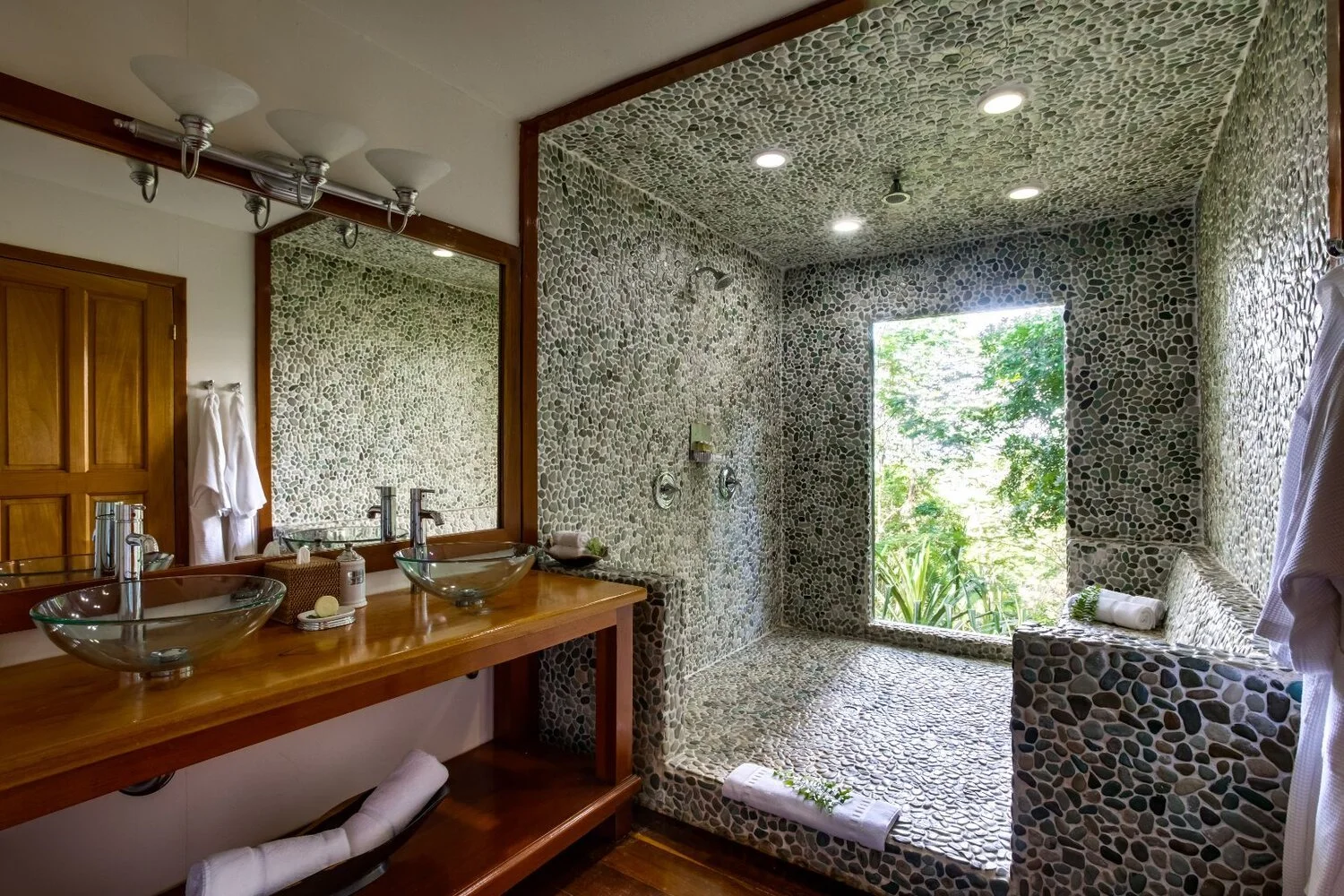 jungle suite 2.jpg