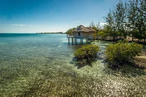 overwater bungalow.webp