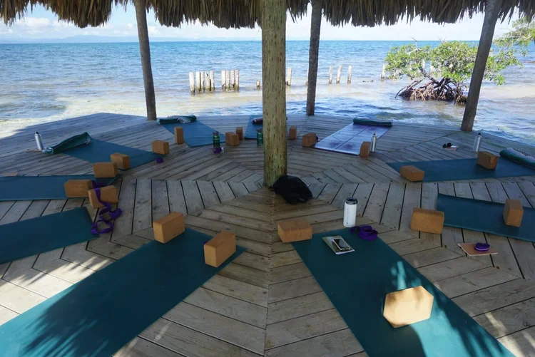 yoga 1.webp