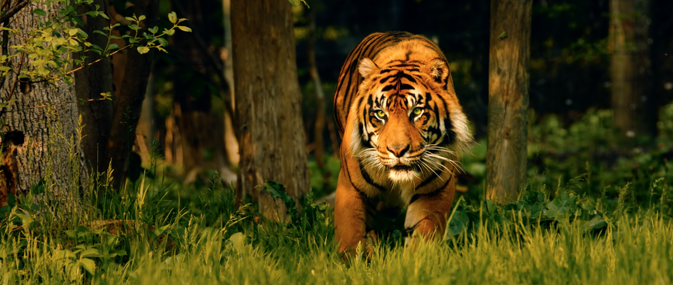 Screen Shot 2019-07-23 at 10.50.06 PM.png