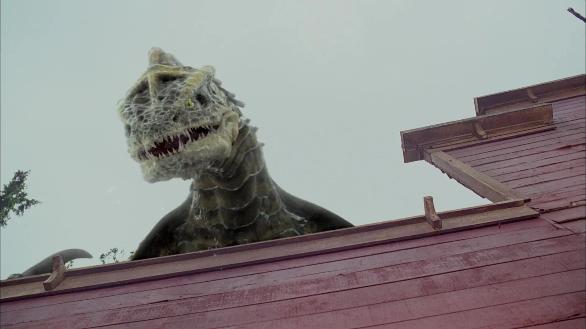 Wyvern (24a).jpg