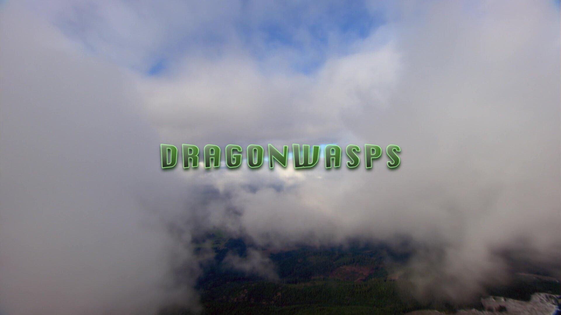 DragonWasps (1).jpg