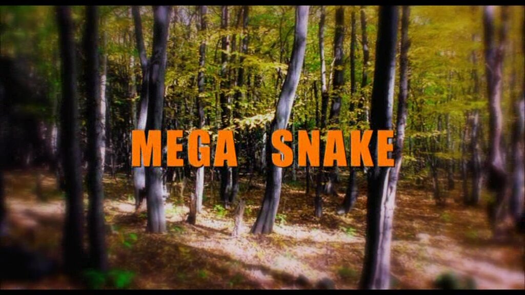 Mega Snake (1).jpg