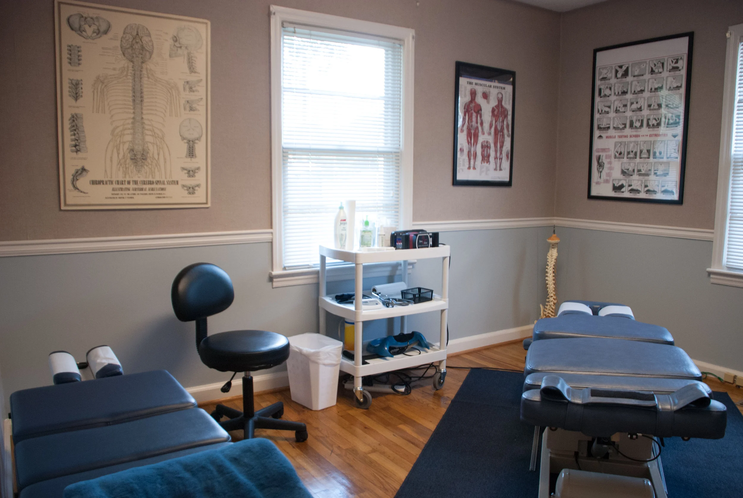 Smyrna Chiropractor Radiant Health Chiropractic Dr. Tali Pariser