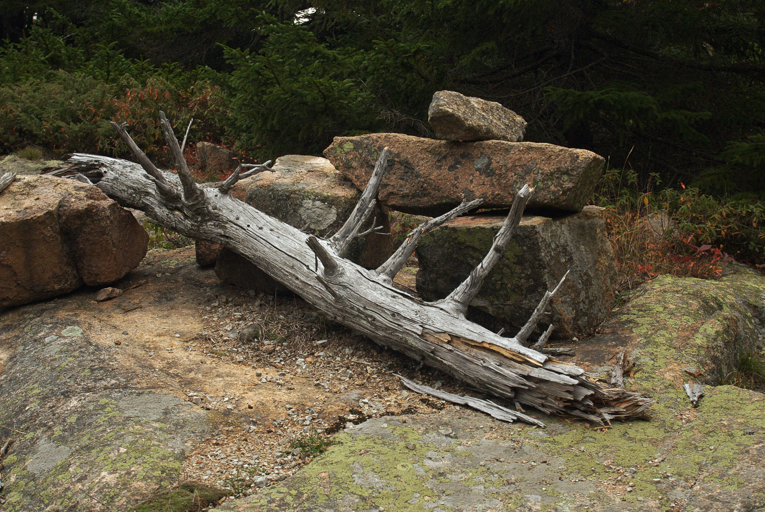 Acadia08 35 (2008-10-21) - Version 2.jpg