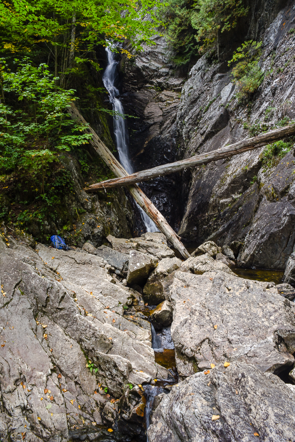 Dunn Falls (4 of 10).jpg