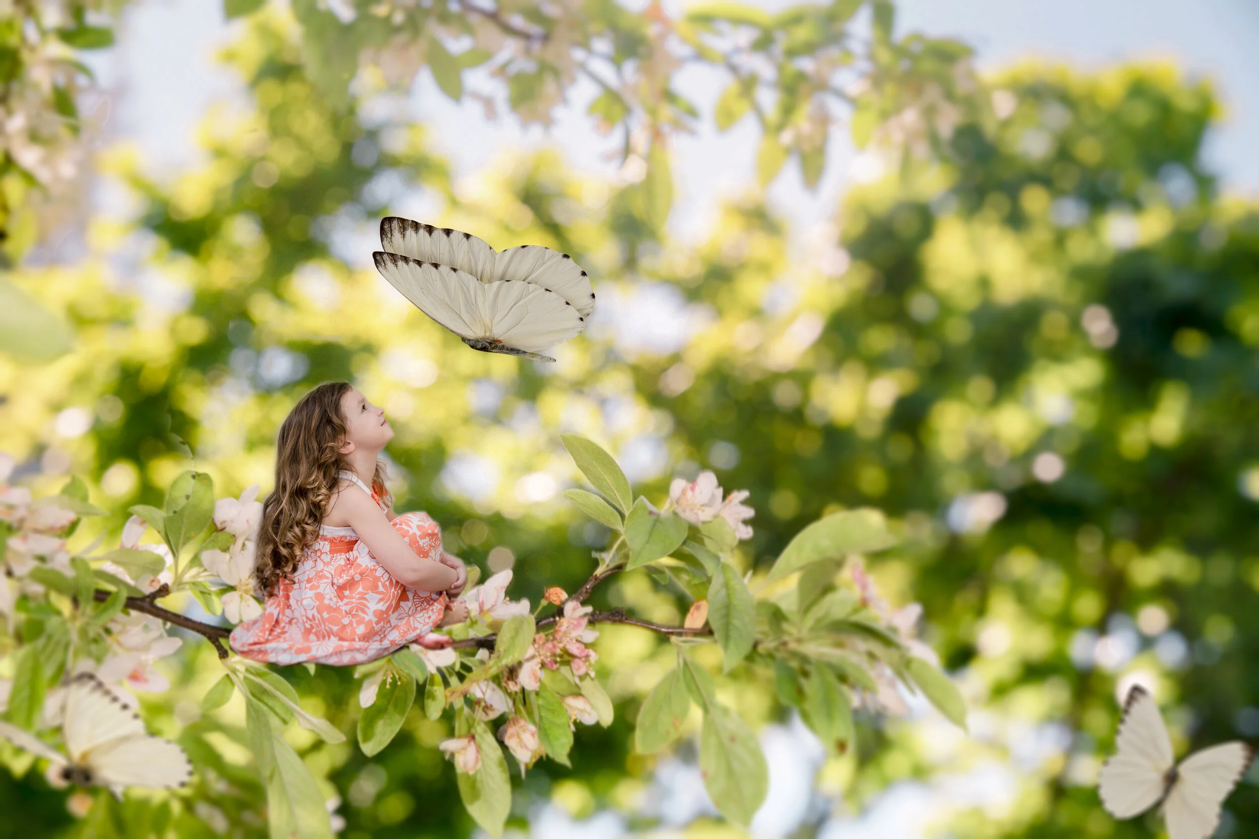 butterflyfinaldreamy copy.jpg