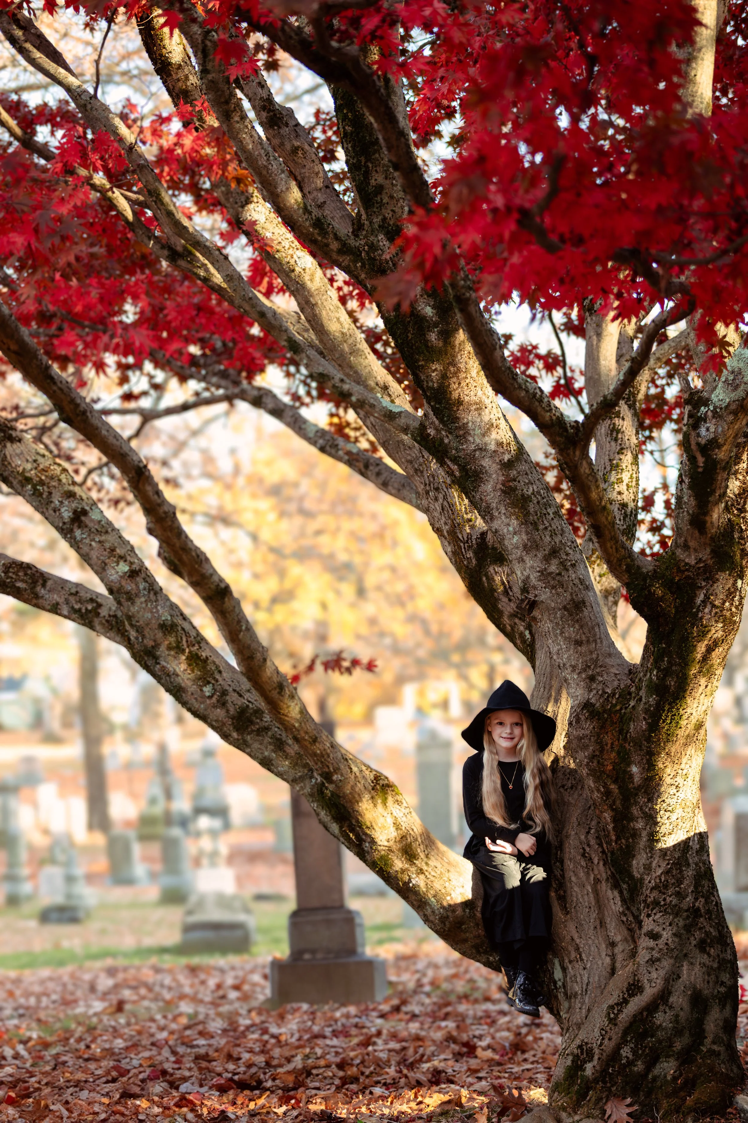 final3X5A0304-Enhanced-NR copy 2.jpg