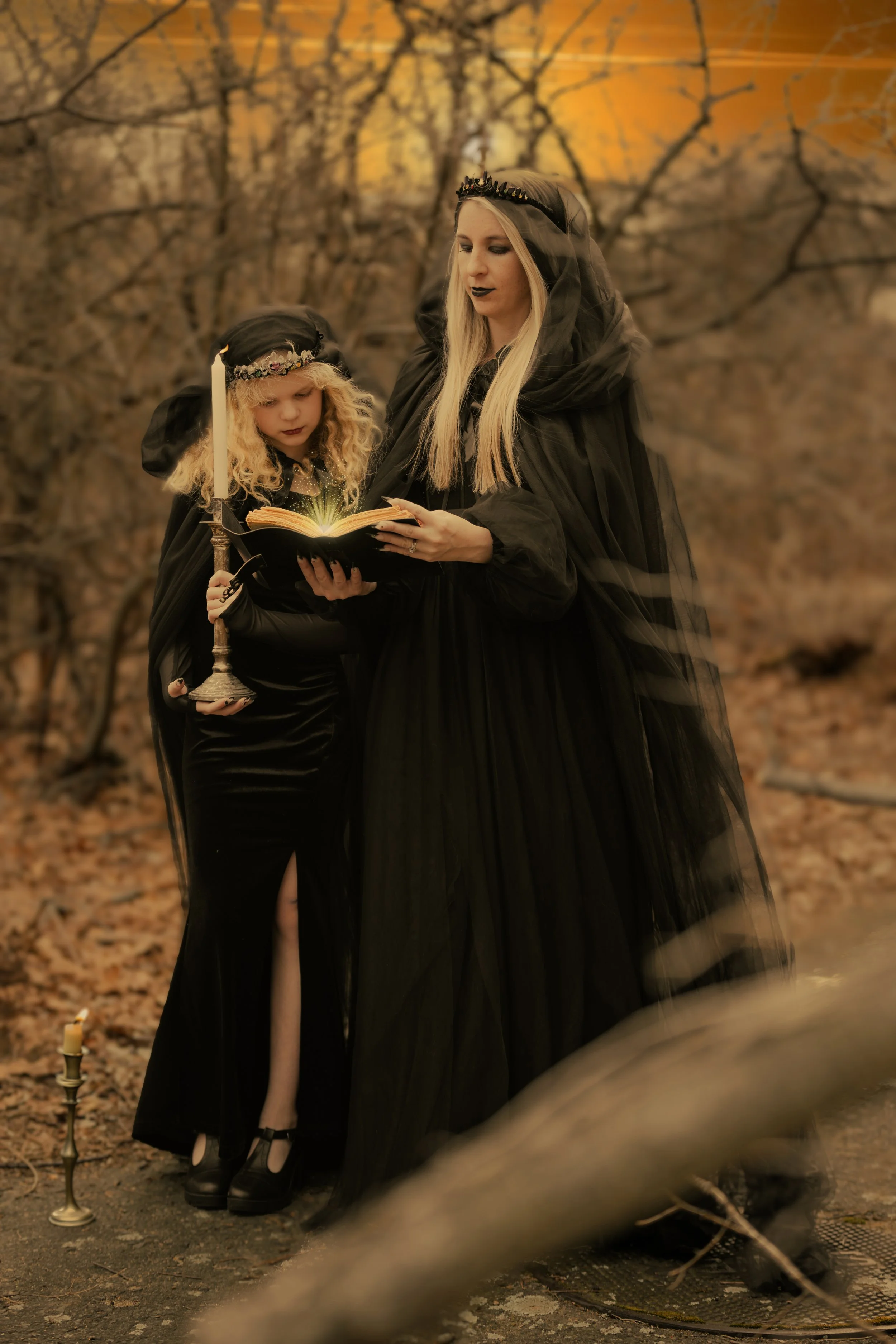 final3X5A2320-Enhanced-NR copy 2.jpg