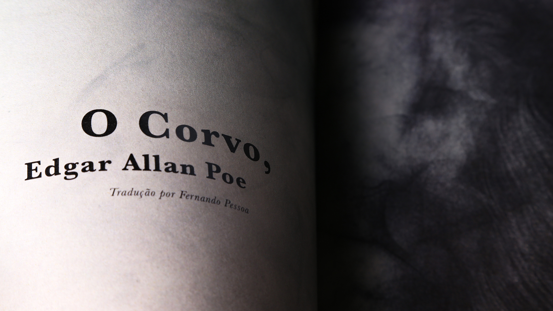 A textura da fuligem foi usada para a ilustração de uma pena de corvo.