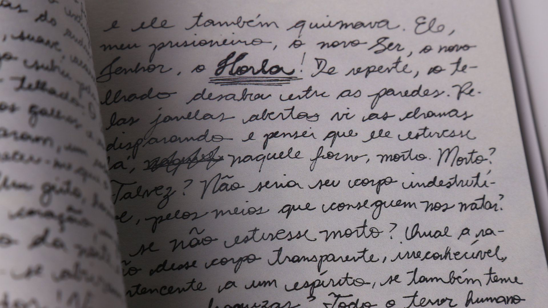 O conto, que é contado em primeira pessoa, foi escrito à mão, como num diário.