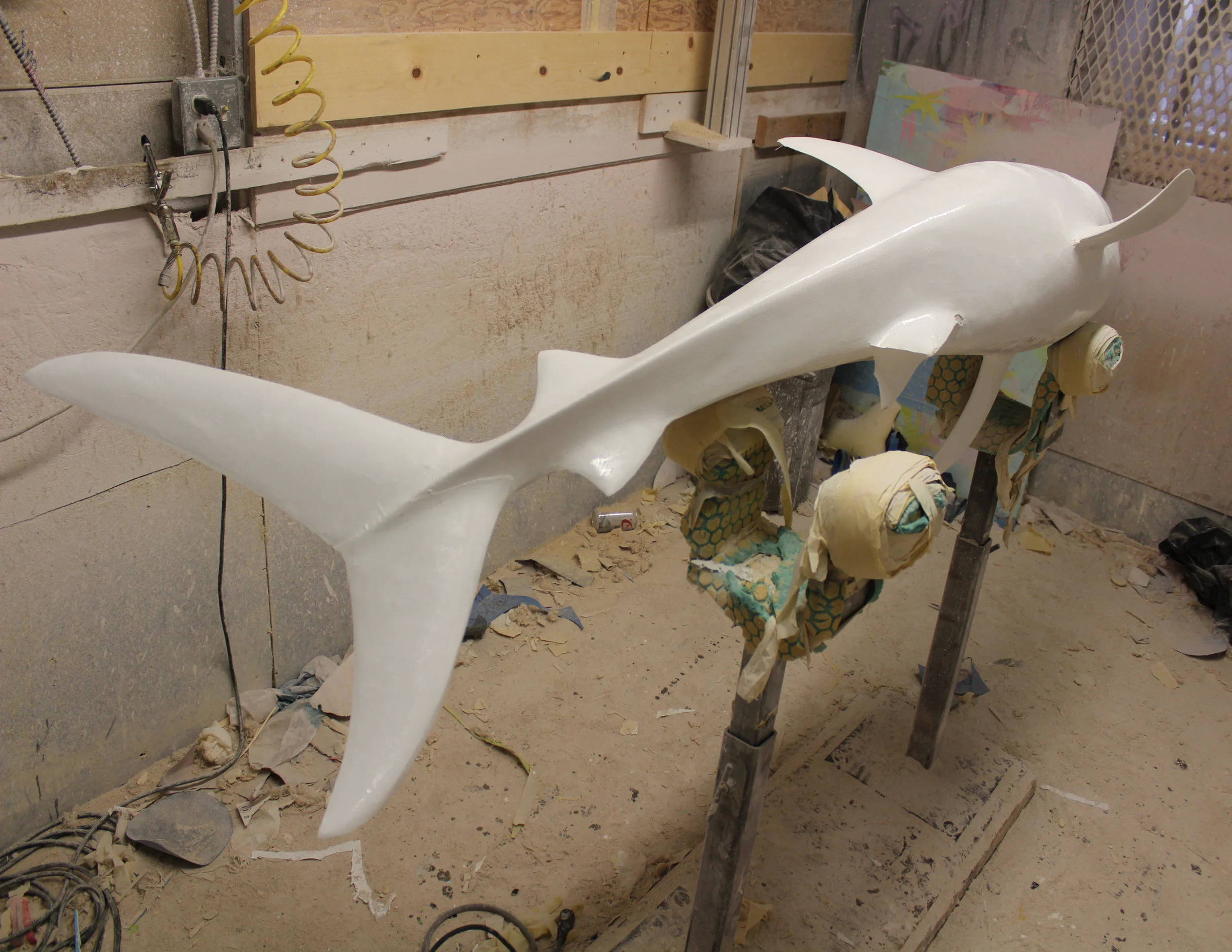 shark_tail_done.jpg