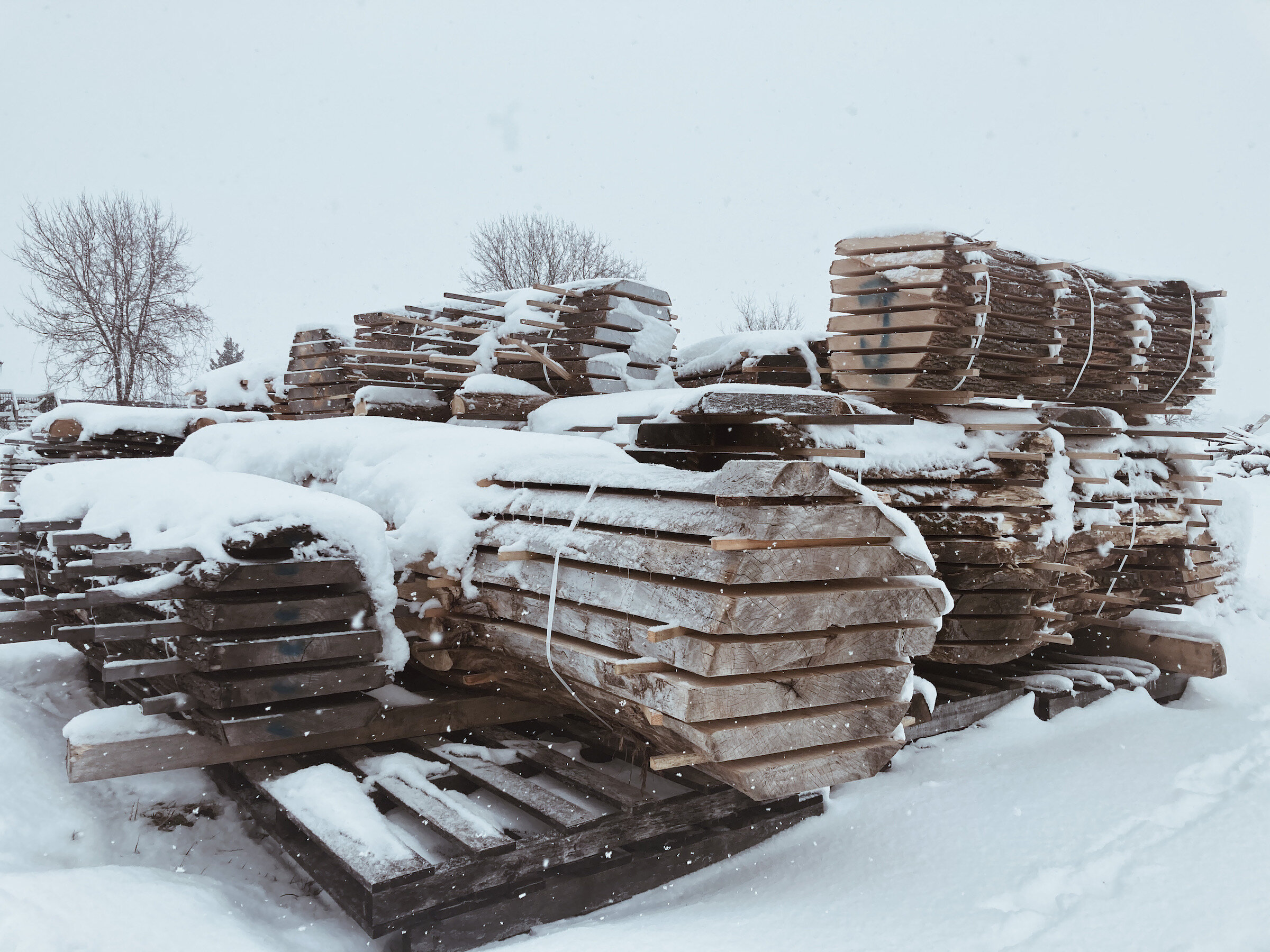 Capital Timber Company