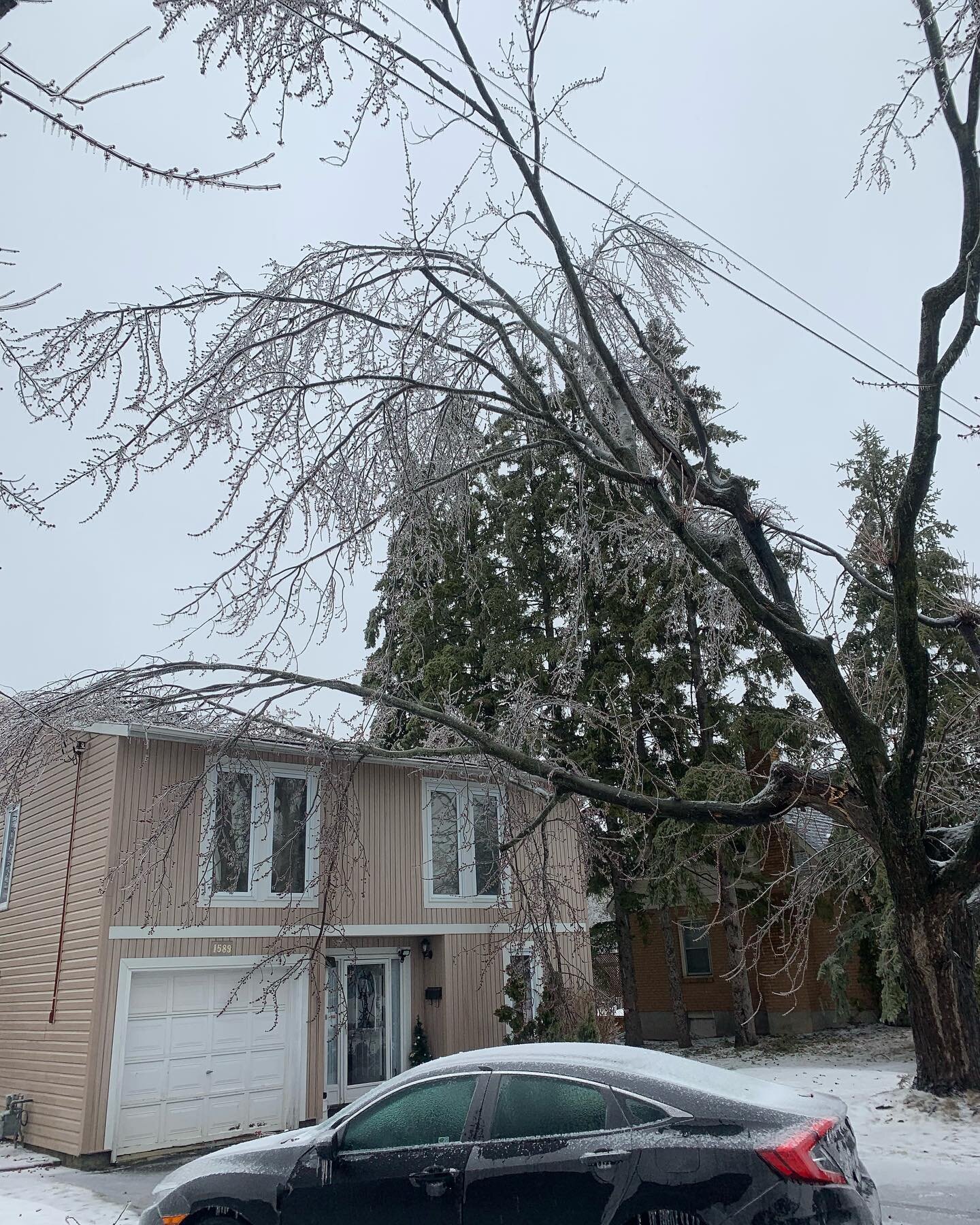 Lots of damage after today&rsquo;s storm! 
We&rsquo;re thawing out the equipment and will be working hard to help clean-up!
Give us a call if your trees have been impacted!
🥶 🌲