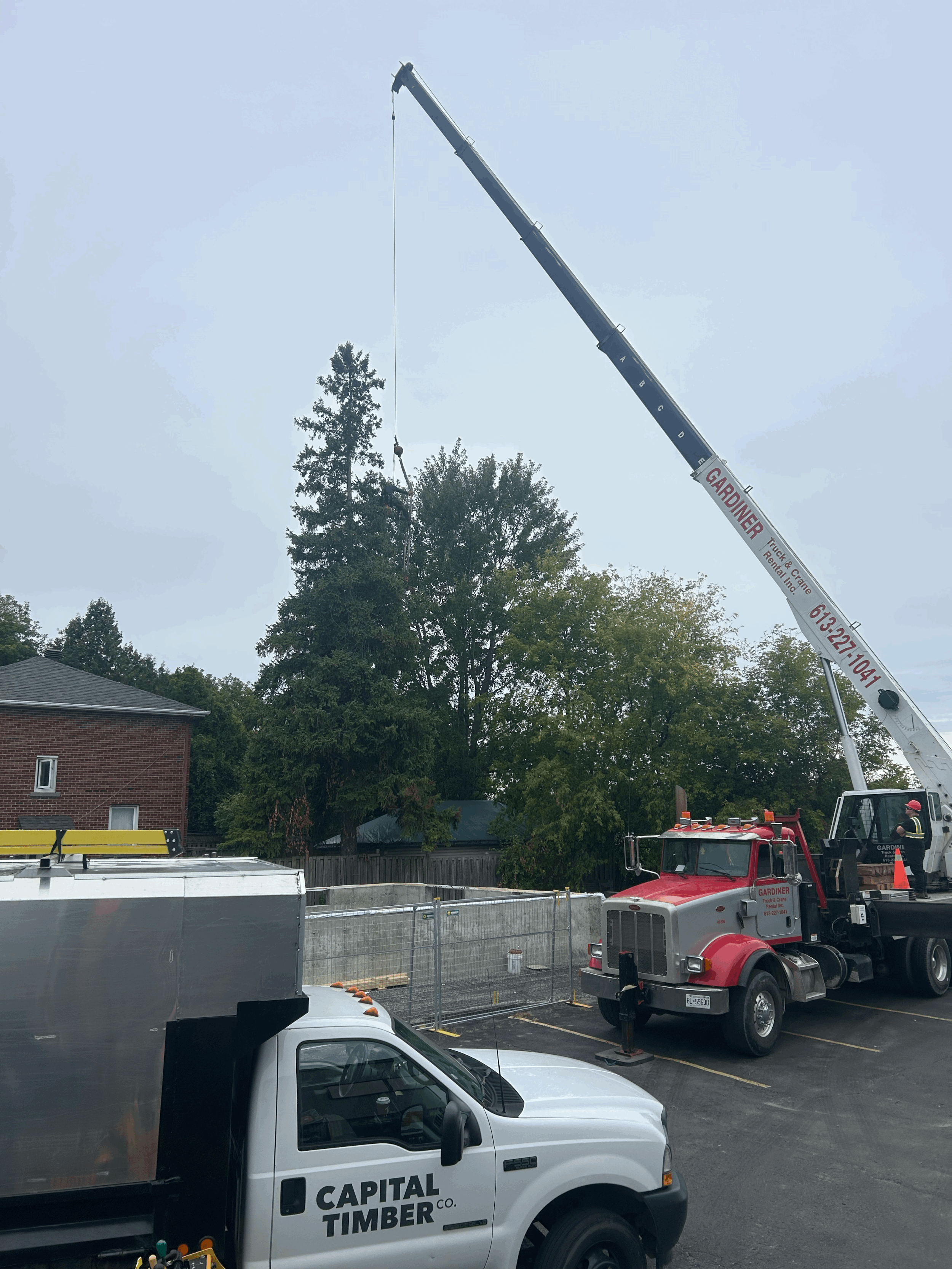 Tree Removal with a Crane in Ottawa: Safe, Efficient, and Professional