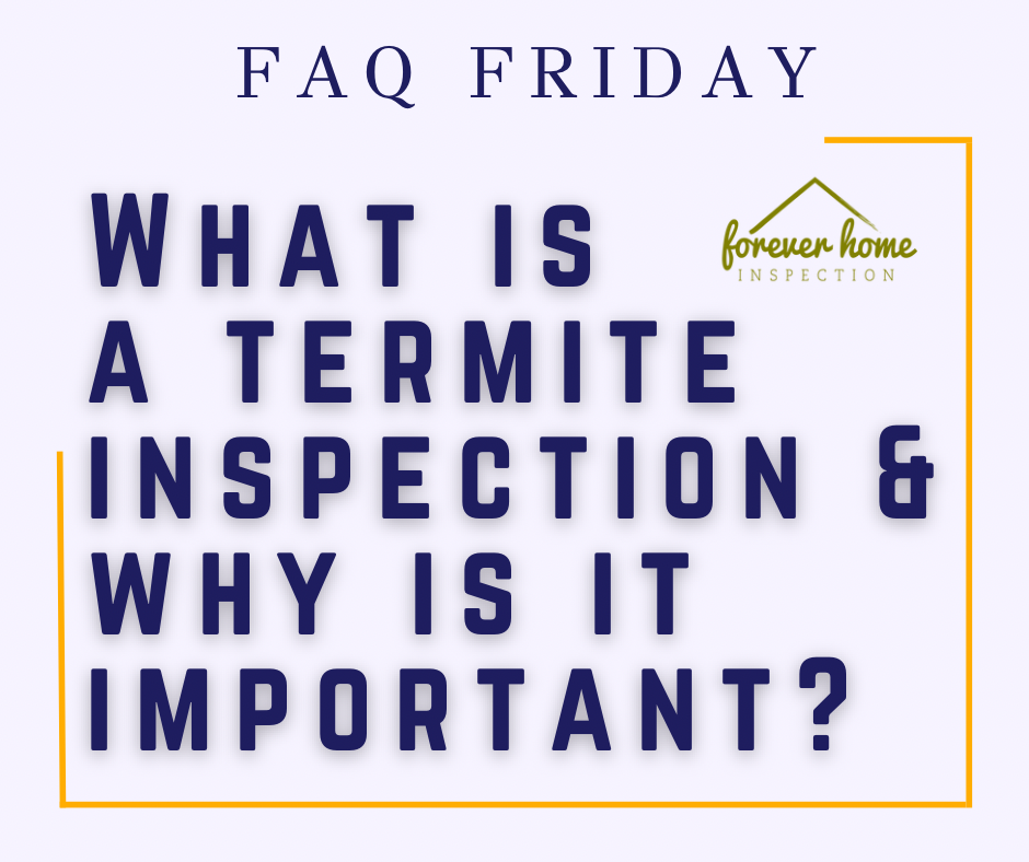 Forever Home Inspection Tulsa, Oklahoma; FAQ Friday Week 5; What is a termite inspection and why is it important