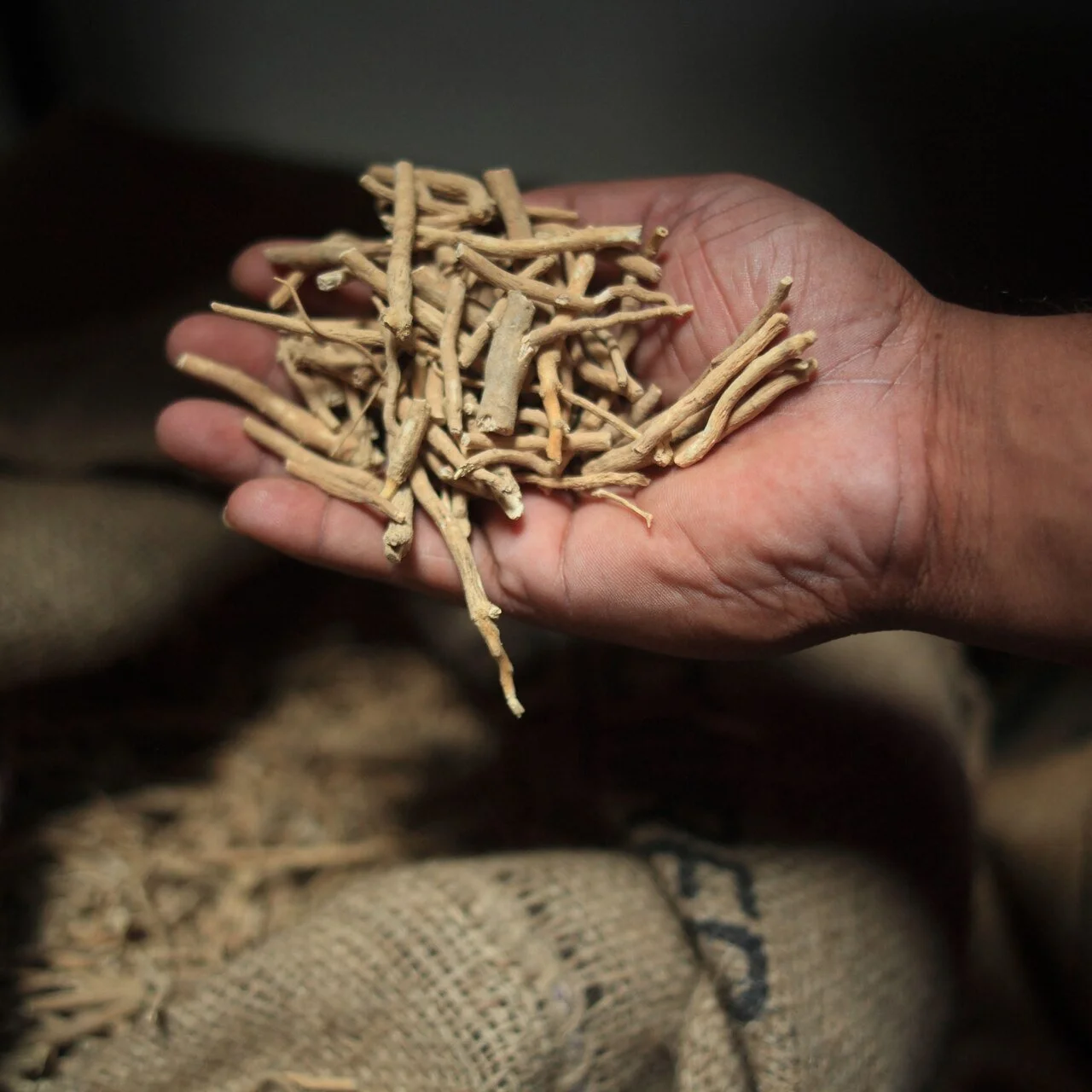 I’m Happy I Stopped Ashwagandha