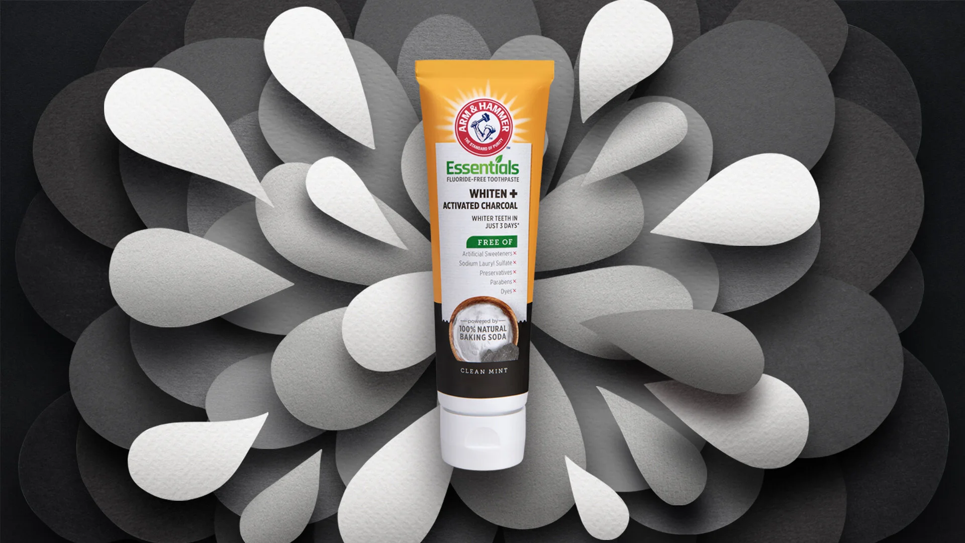 AHDC-Essentials-BW cover.jpg