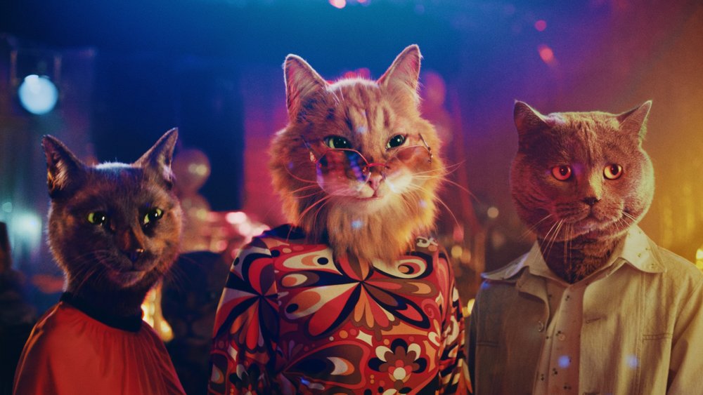 Caturday Night Fever — RENATA CHIARA CHIMENTI Caturday Night Fever — RENATA CHIARA CHIMENTI