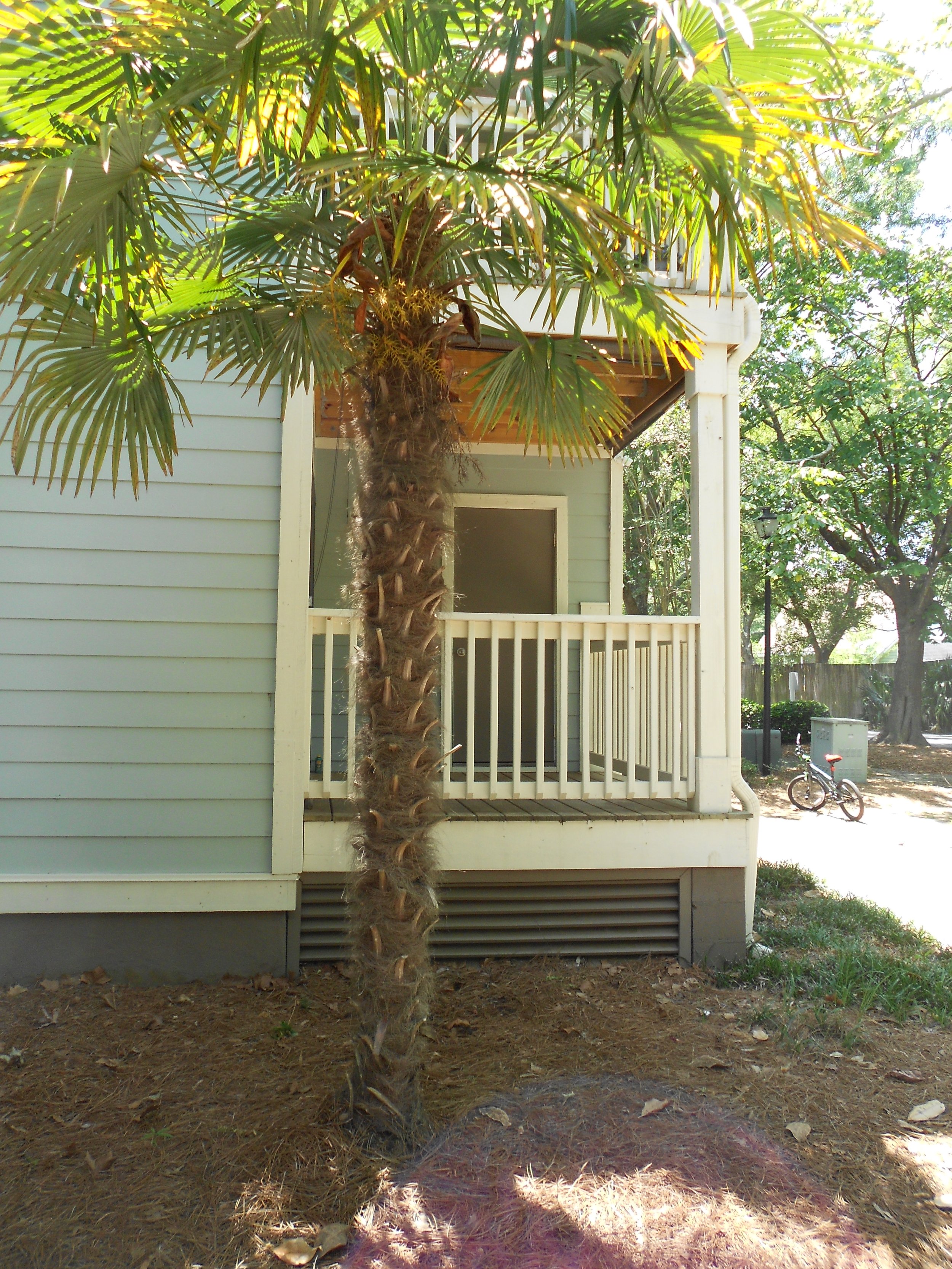 1481 Center Street Ext #1305, Mt Pleasant, SC 29464- 2 miles from Sullivan's Island $2,000.00/ month- Available Now!