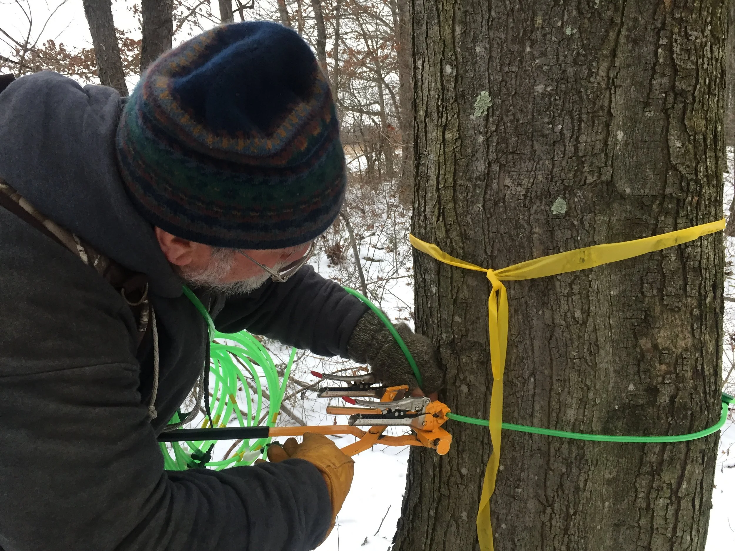 File Jan 15, 5 14 58 PM.jpeg