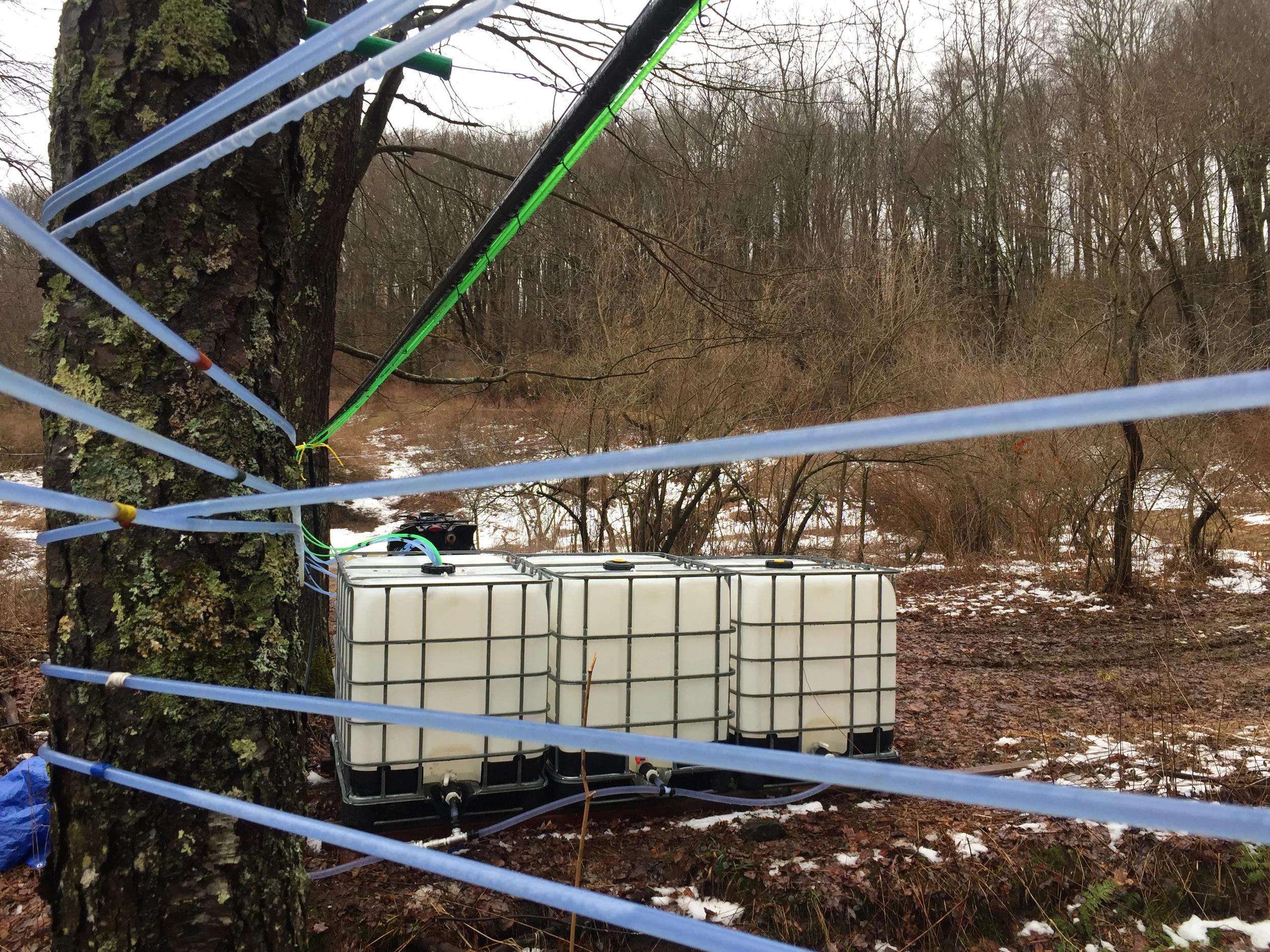 File Feb 11, 4 19 19 PM.jpeg