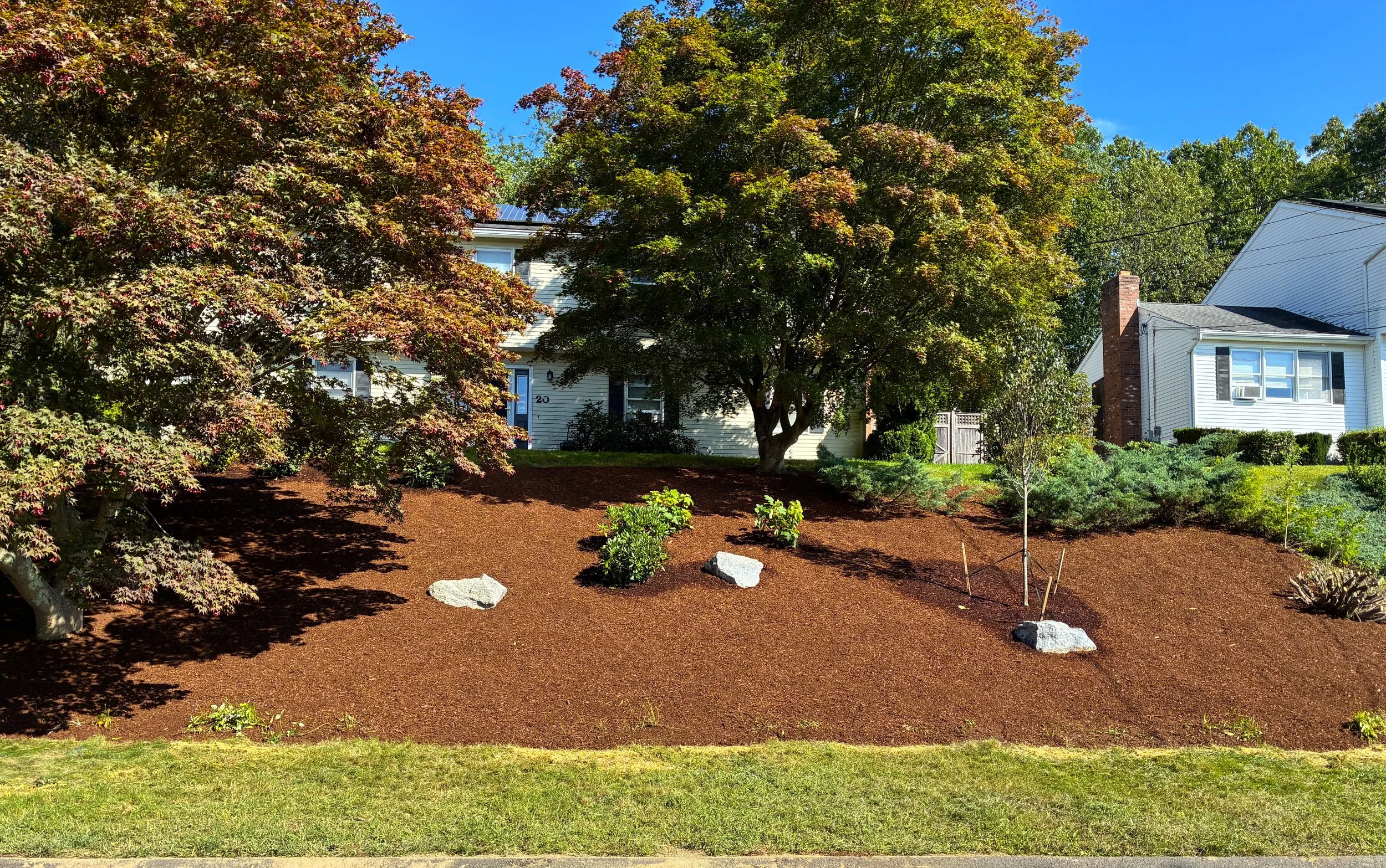 Property Transformation in Ansonia September 2026