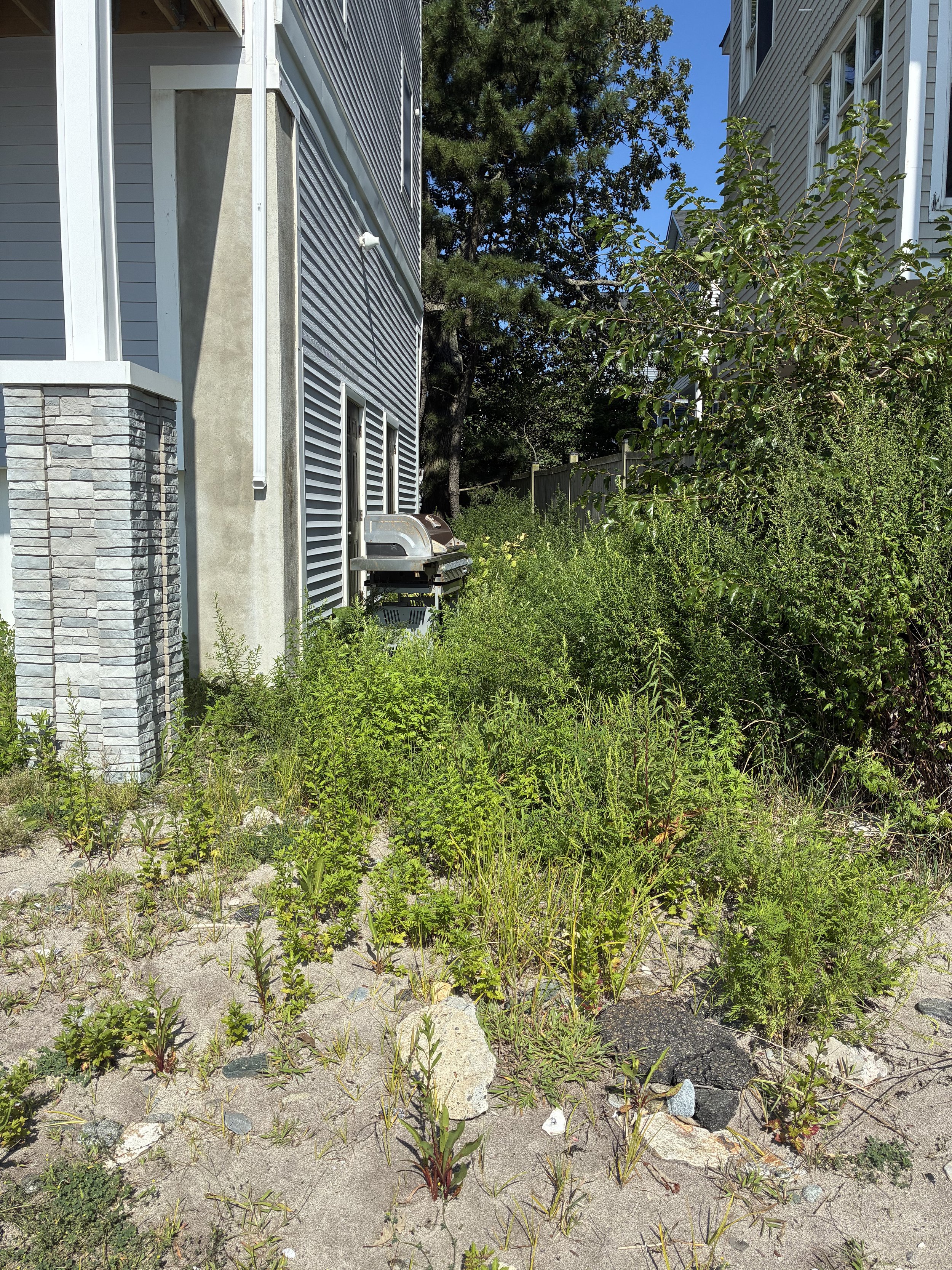 A seashore property is rejuvenated - From washed up to WOW! September 2026