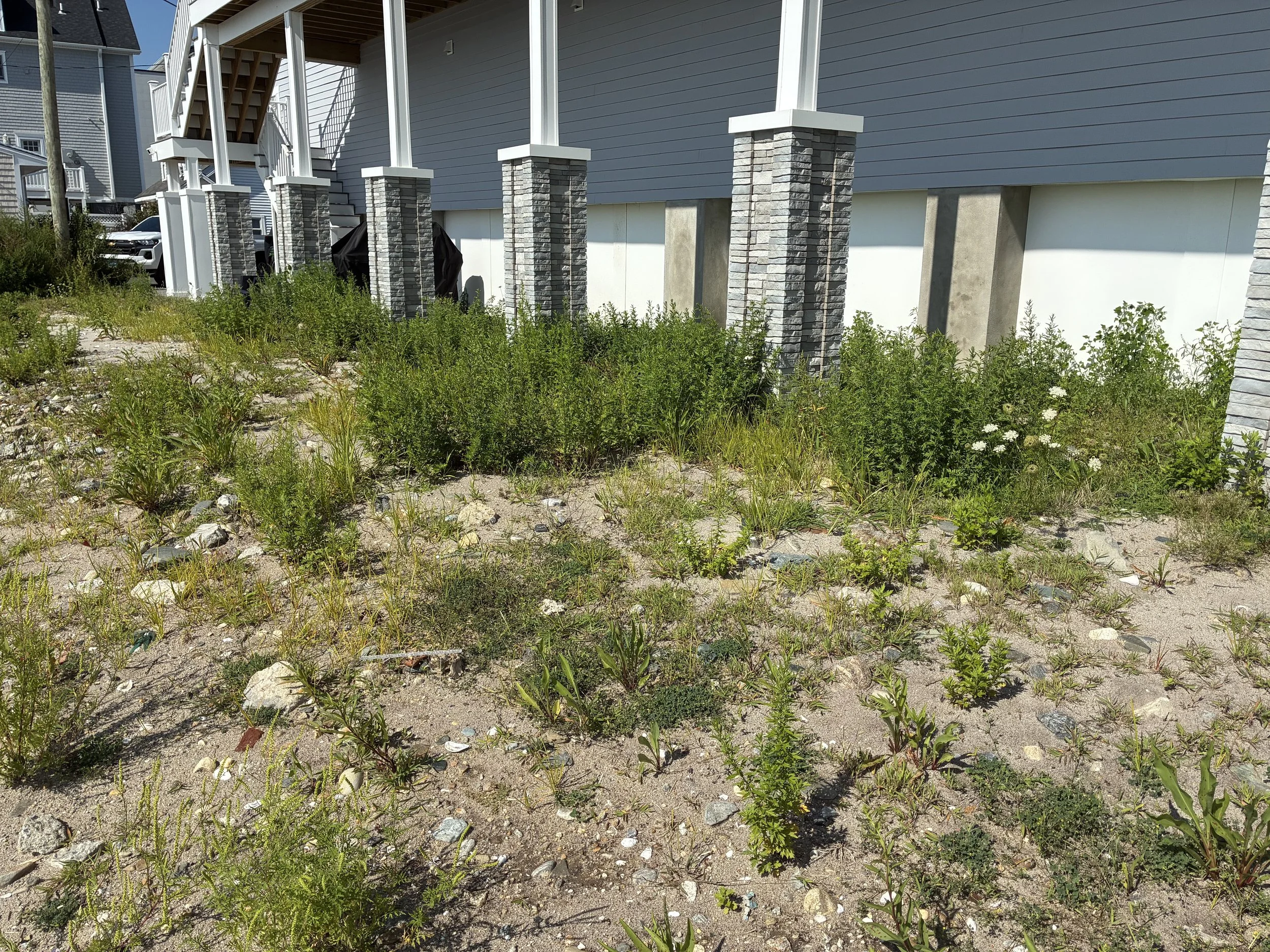A seashore property is rejuvenated - From washed up to WOW! September 2026