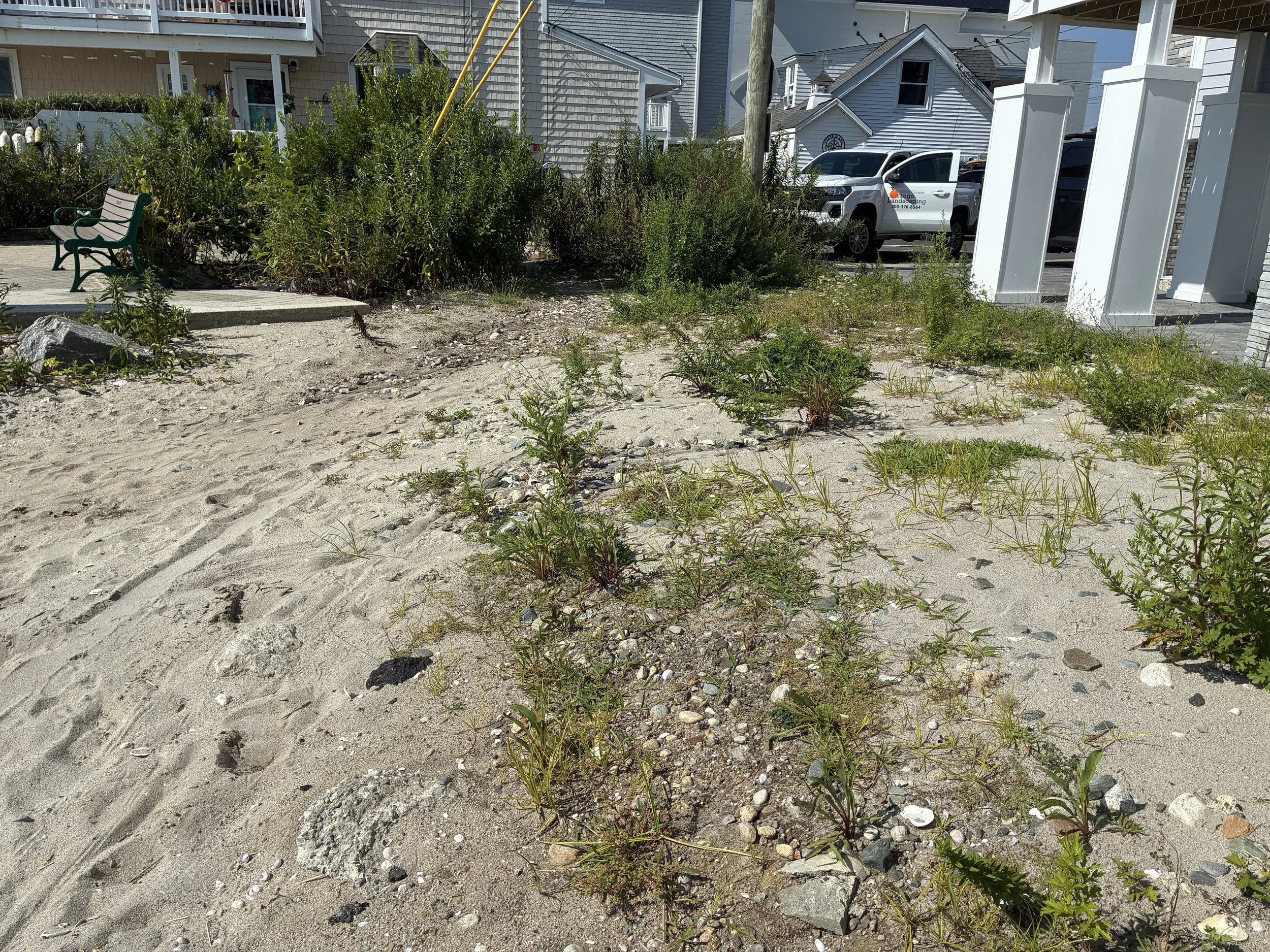 A seashore property is rejuvenated - From washed up to WOW! September 2026