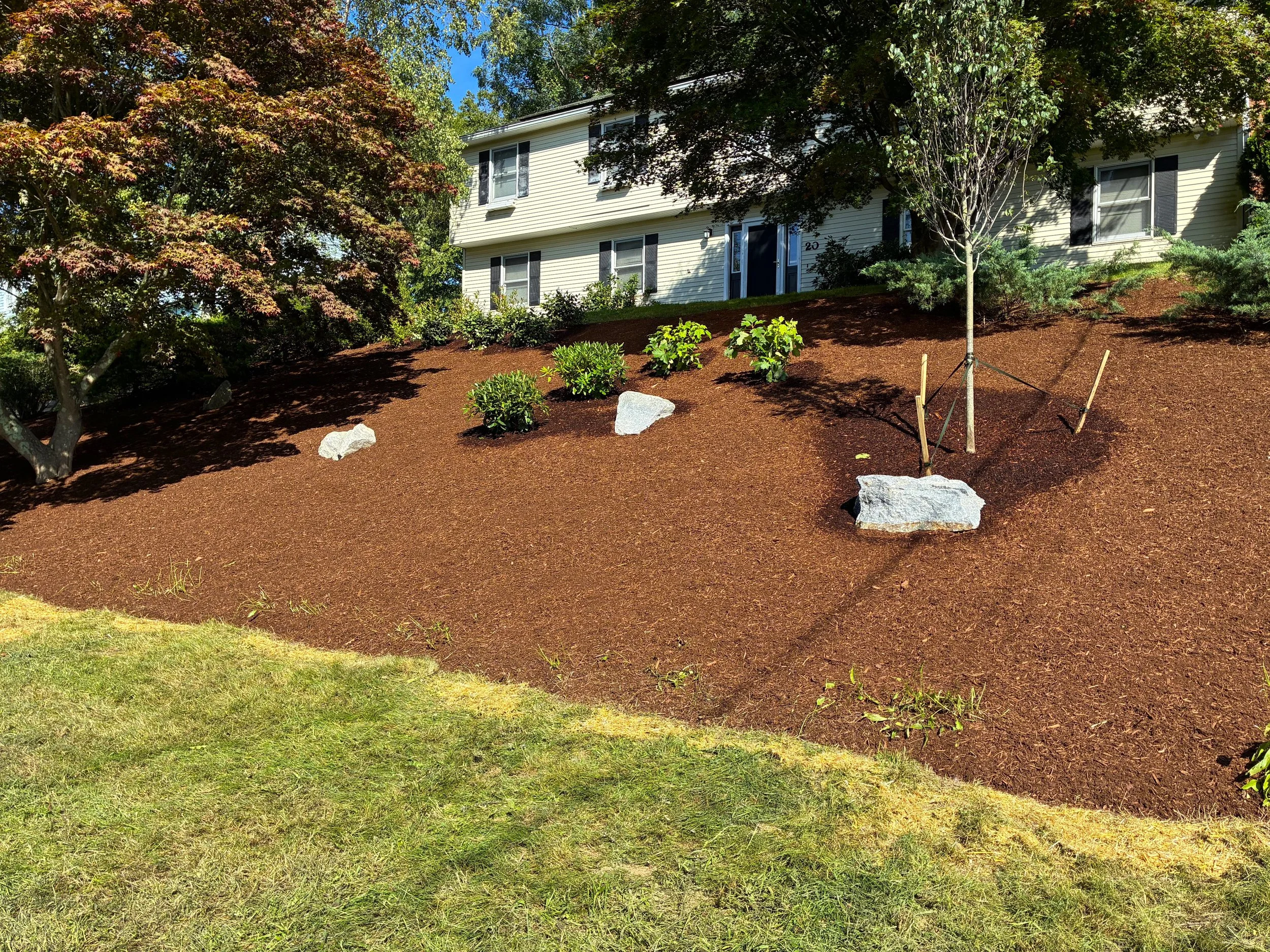Property Transformation in Ansonia September 2026