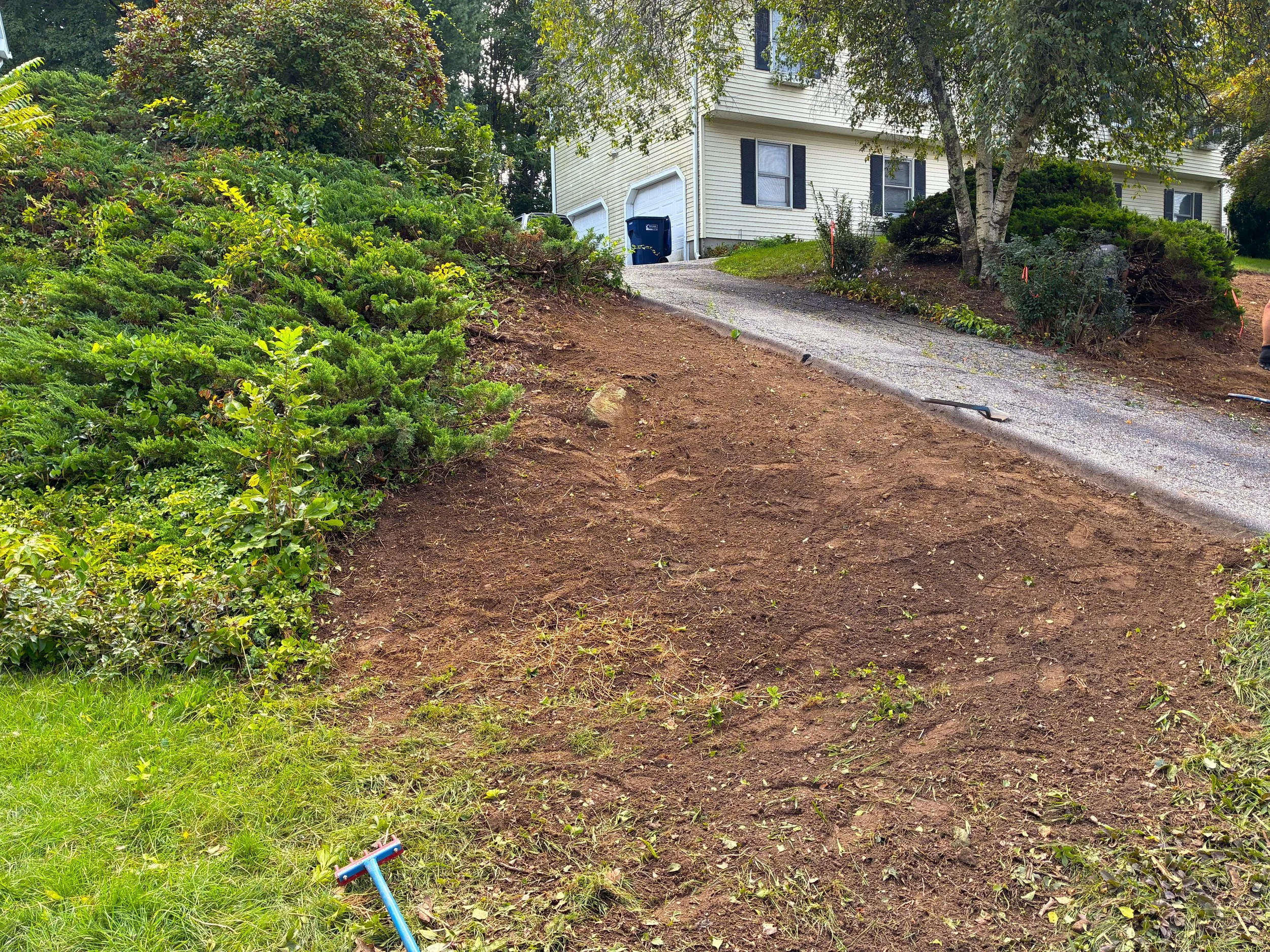 Property Transformation in Ansonia September 2026