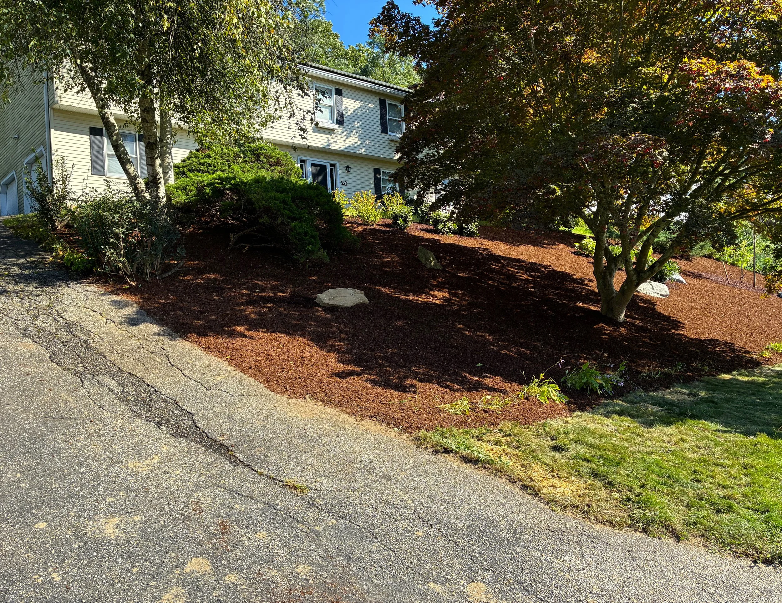 Property Transformation in Ansonia September 2026