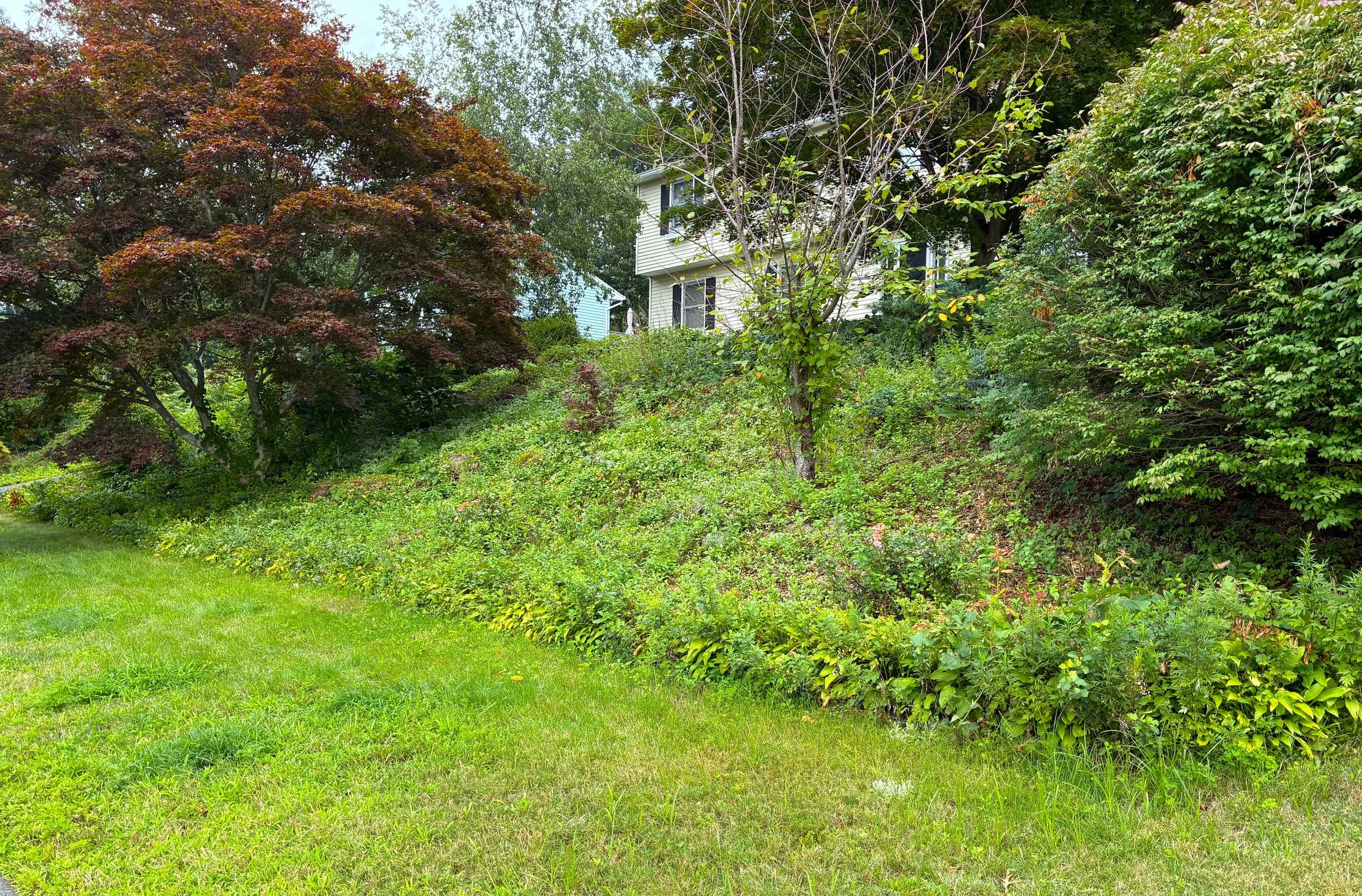 Property Transformation in Ansonia September 2026