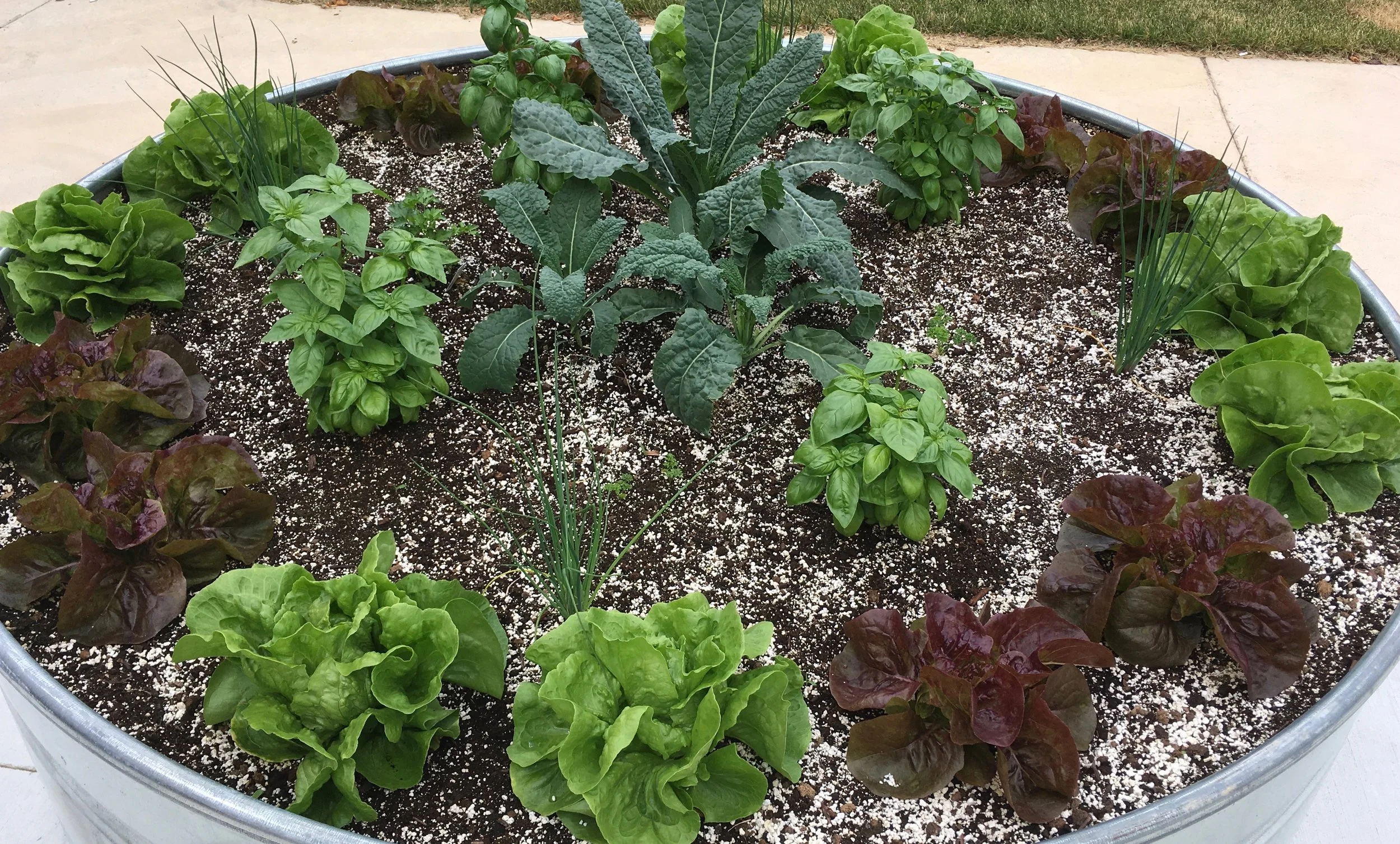 Western Fair Farmer's Market - Herb & Vegetable Garden