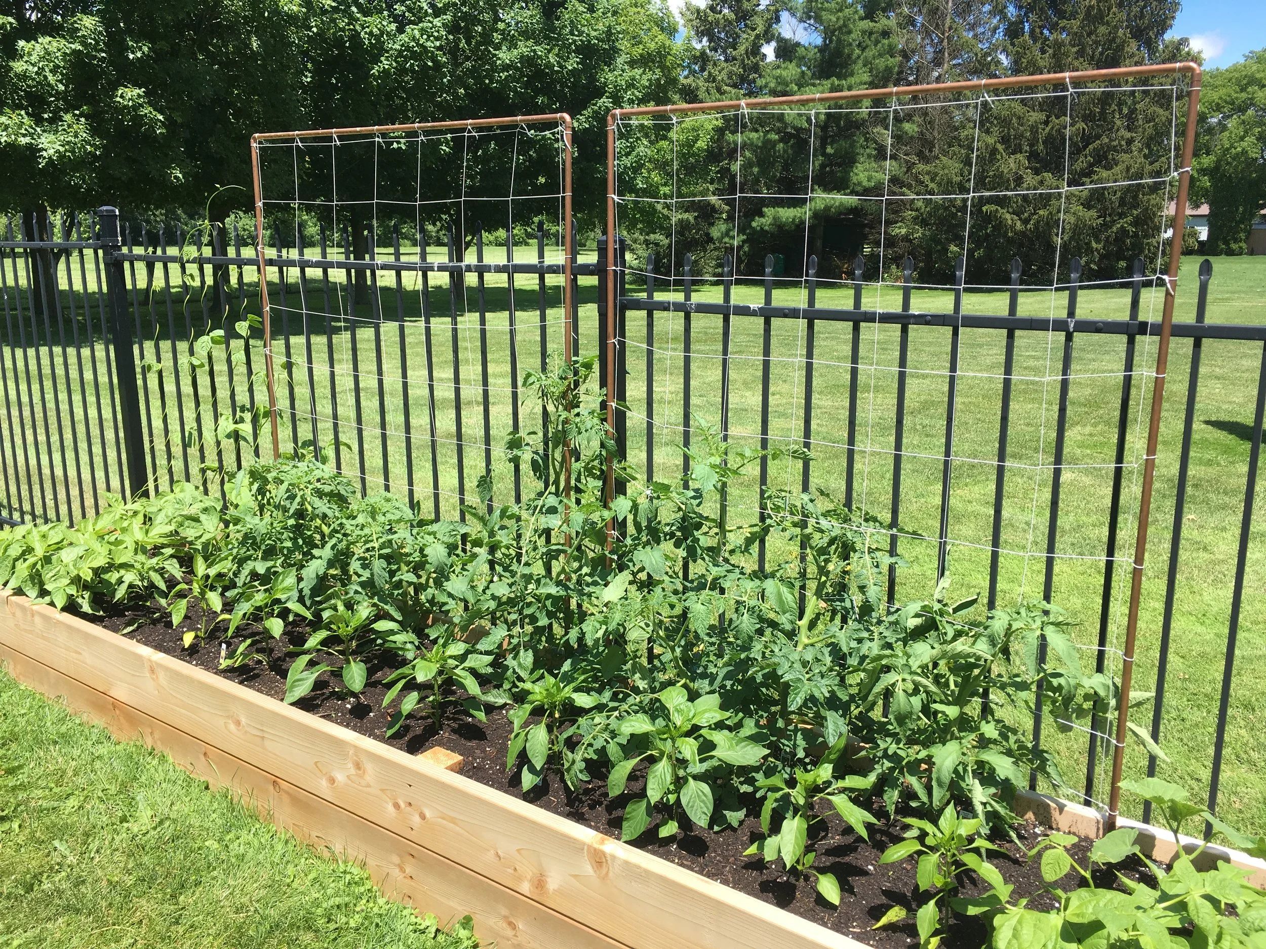 2' x 16' raised bed with copper trellis