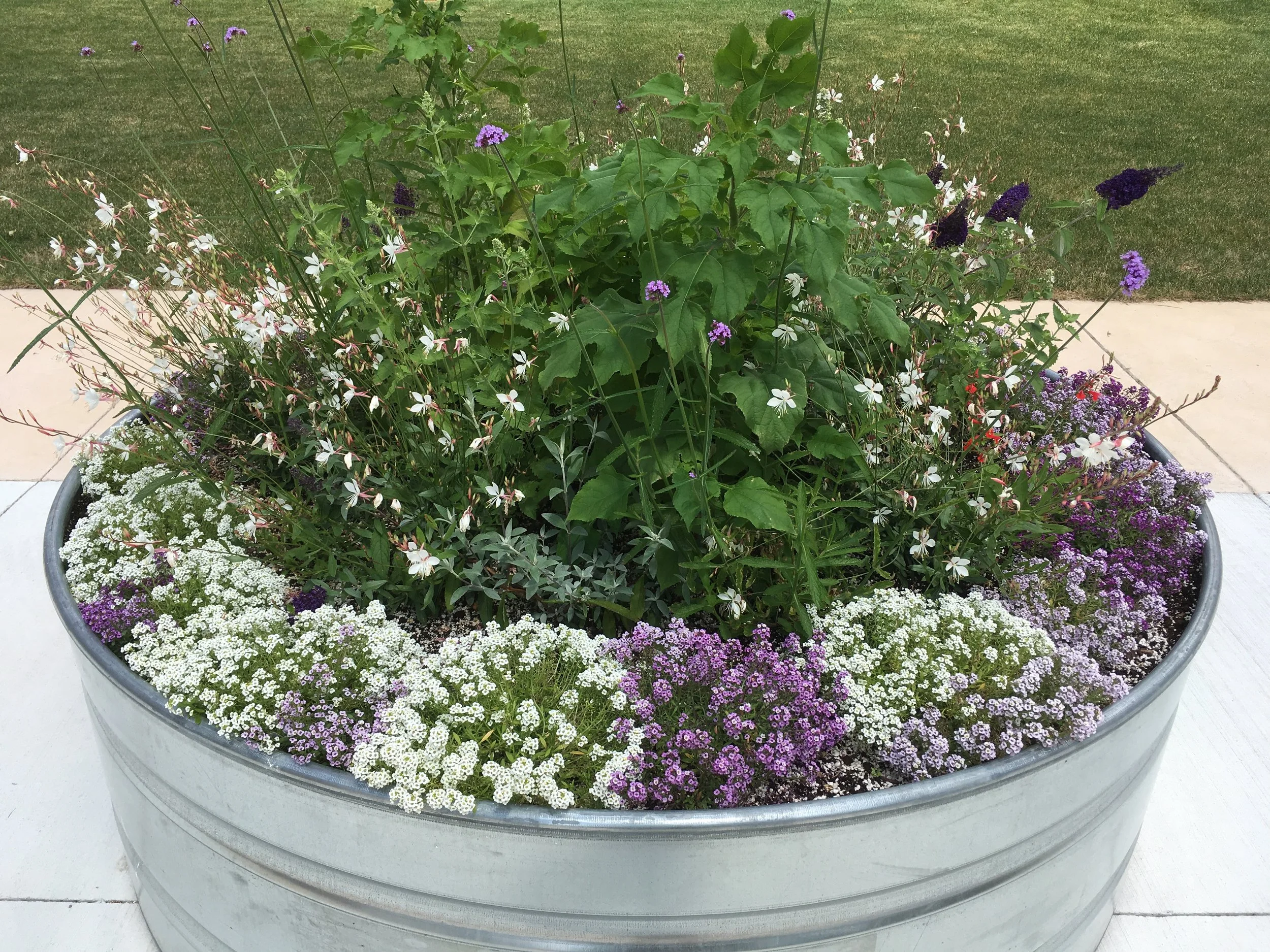 Western Fair Farmer's Market - Pollination Garden