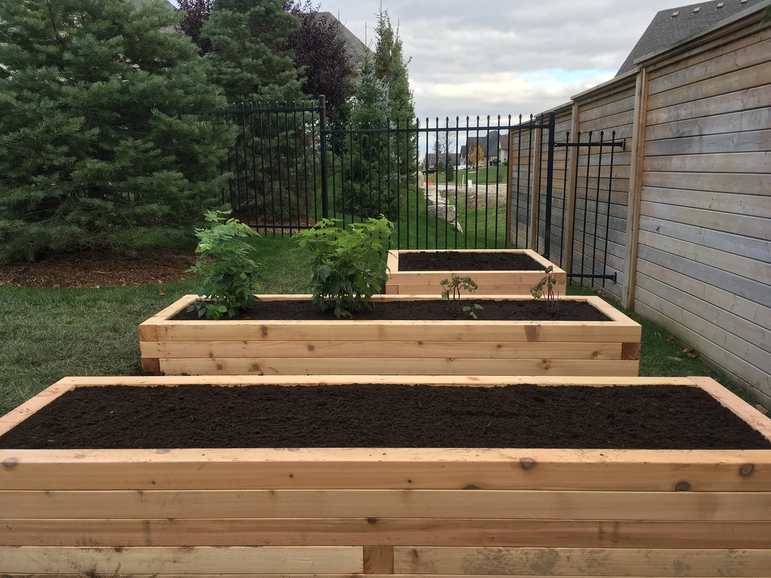 2'x8' and 4'x4' raised beds (square cedar posts)