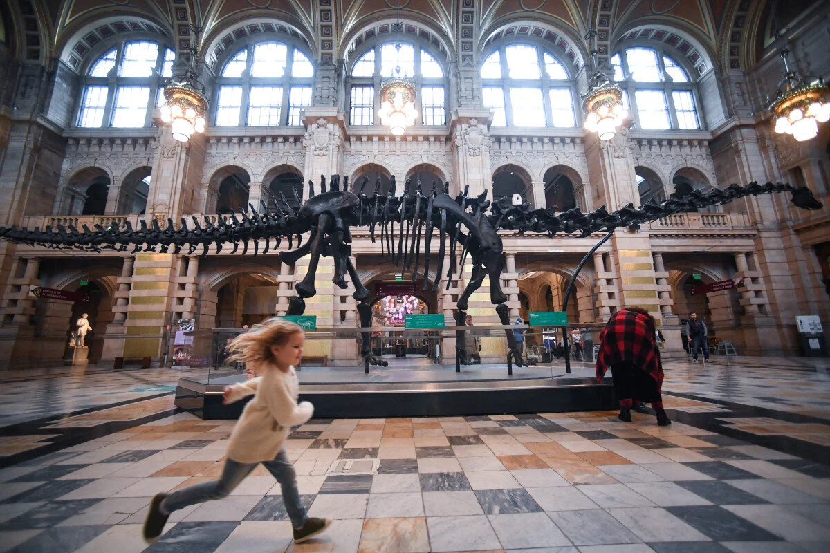 ANDREW CARNEGIE'S DINOSAUR DIPLOMACY CONTINUES TO INSPIRE