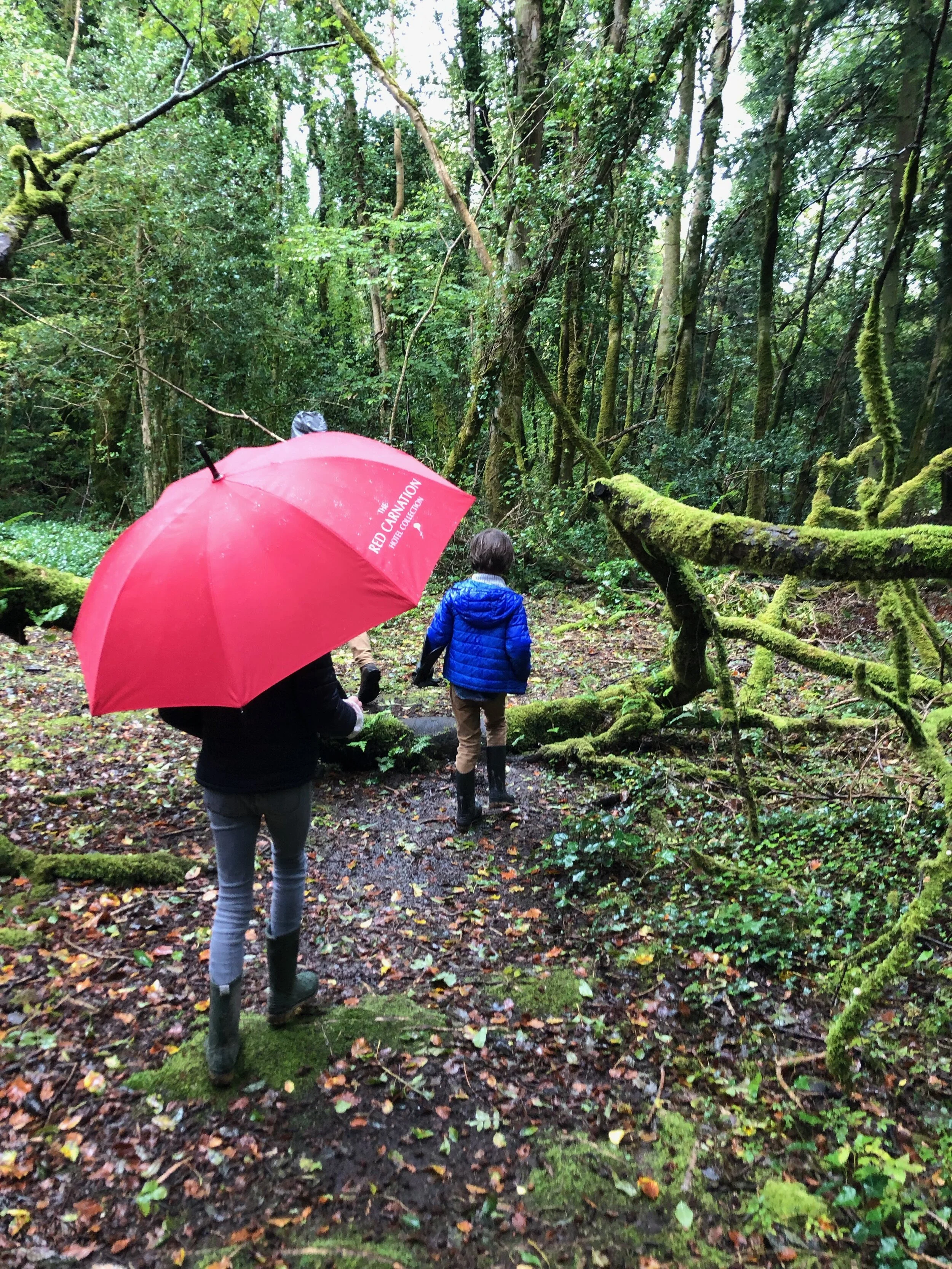 YOU CAN GO HOME AGAIN