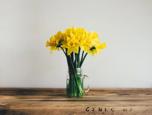 Photograph by Annie Spratt