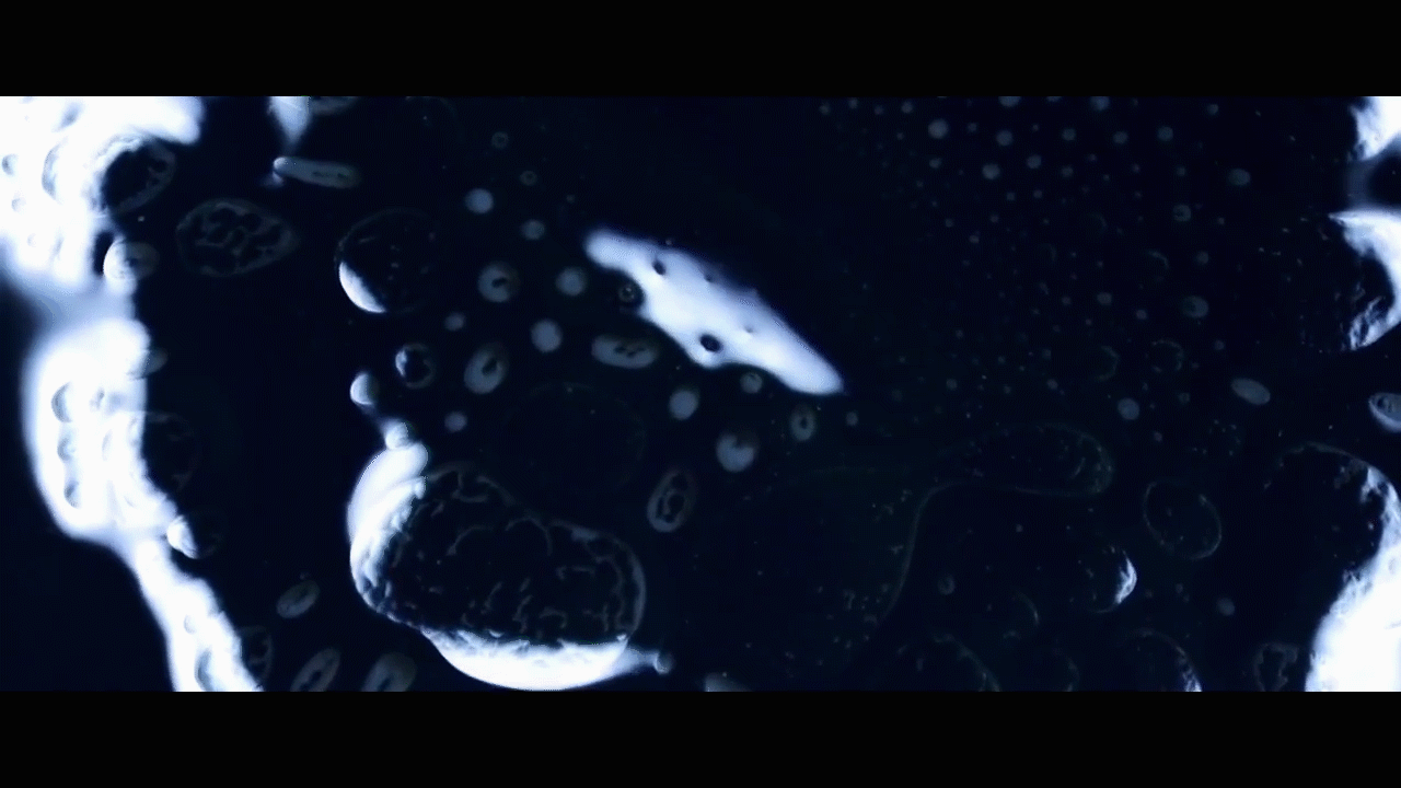 Dimepiece LA Keep It Wet Campaign