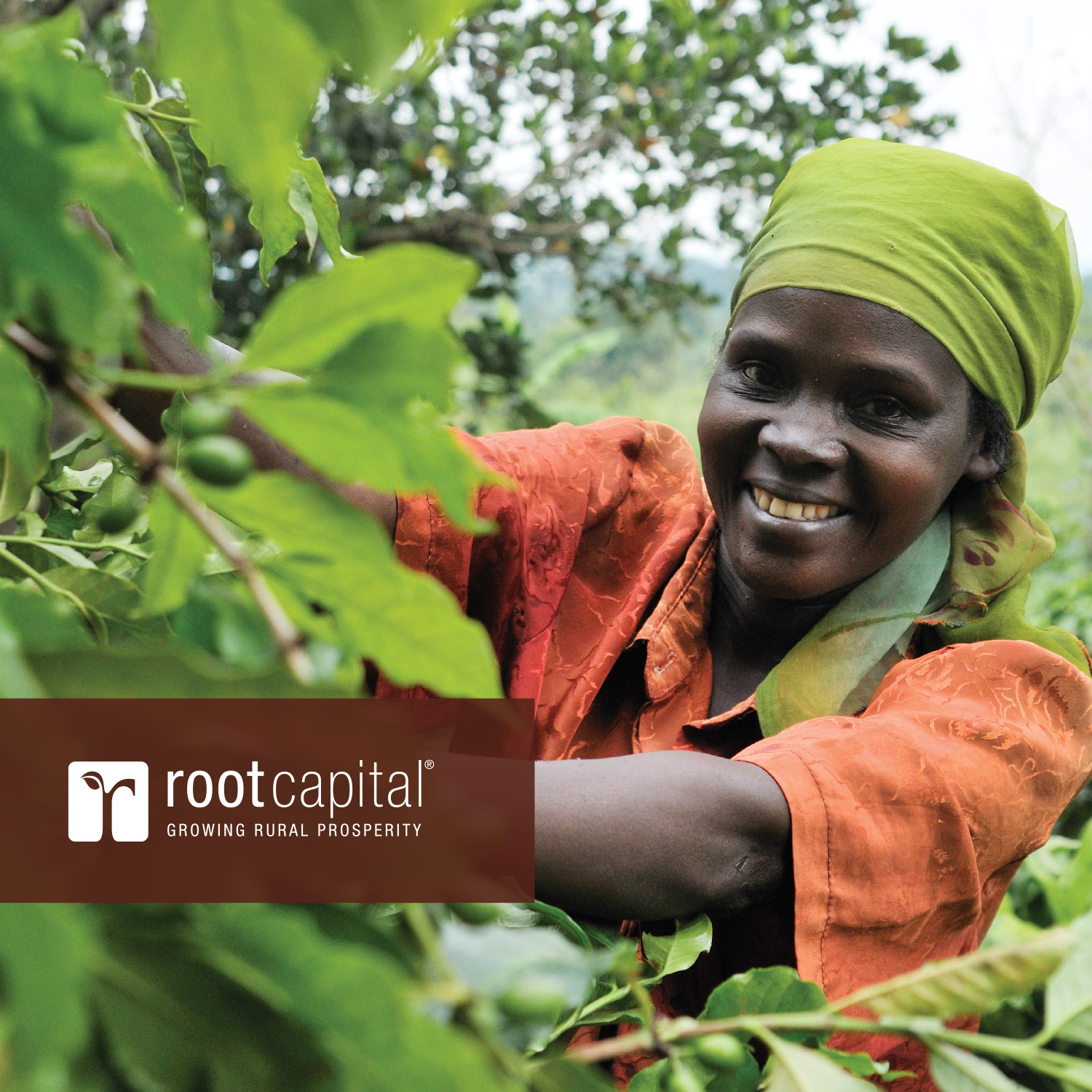 rootcapital_brochure_cover.jpg