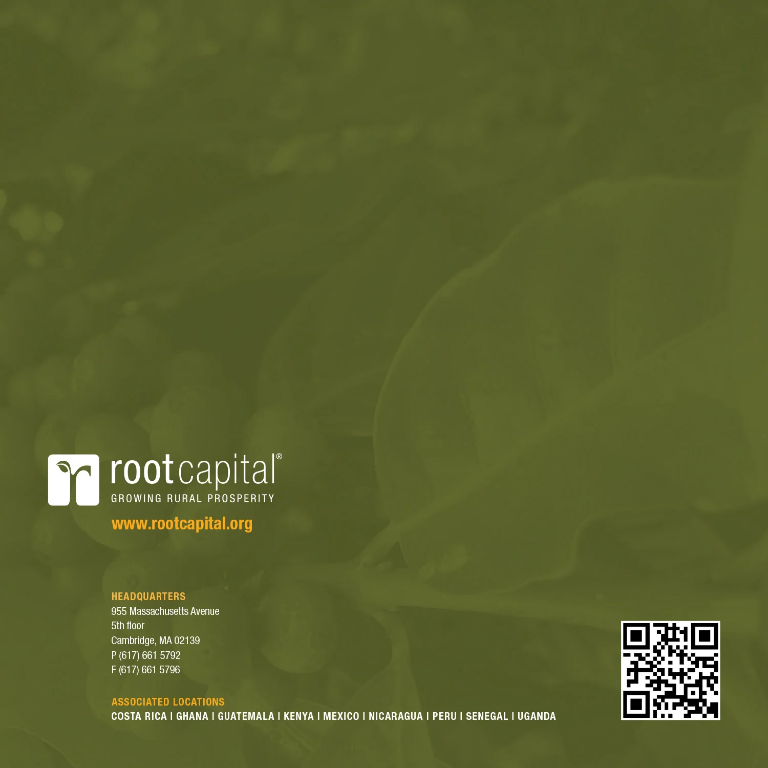 rootcapital_brochure_back.jpg