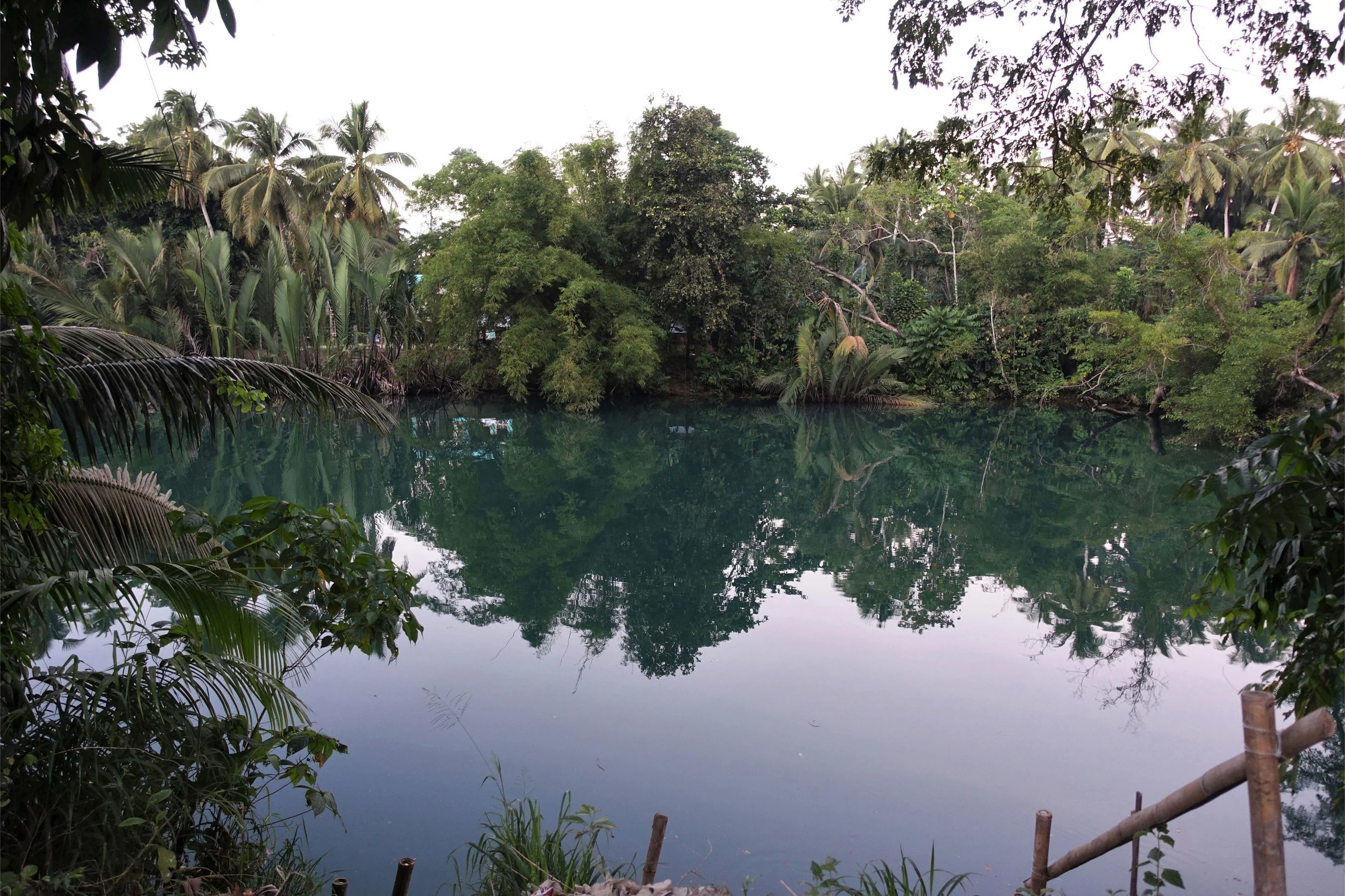 DSC01713.jpg