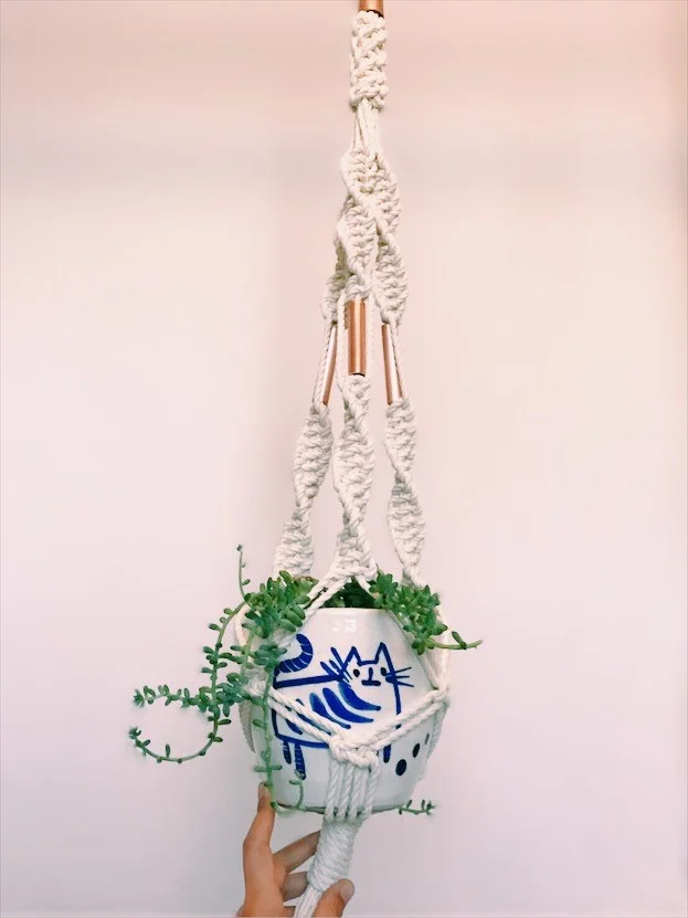 cat hanger.jpg