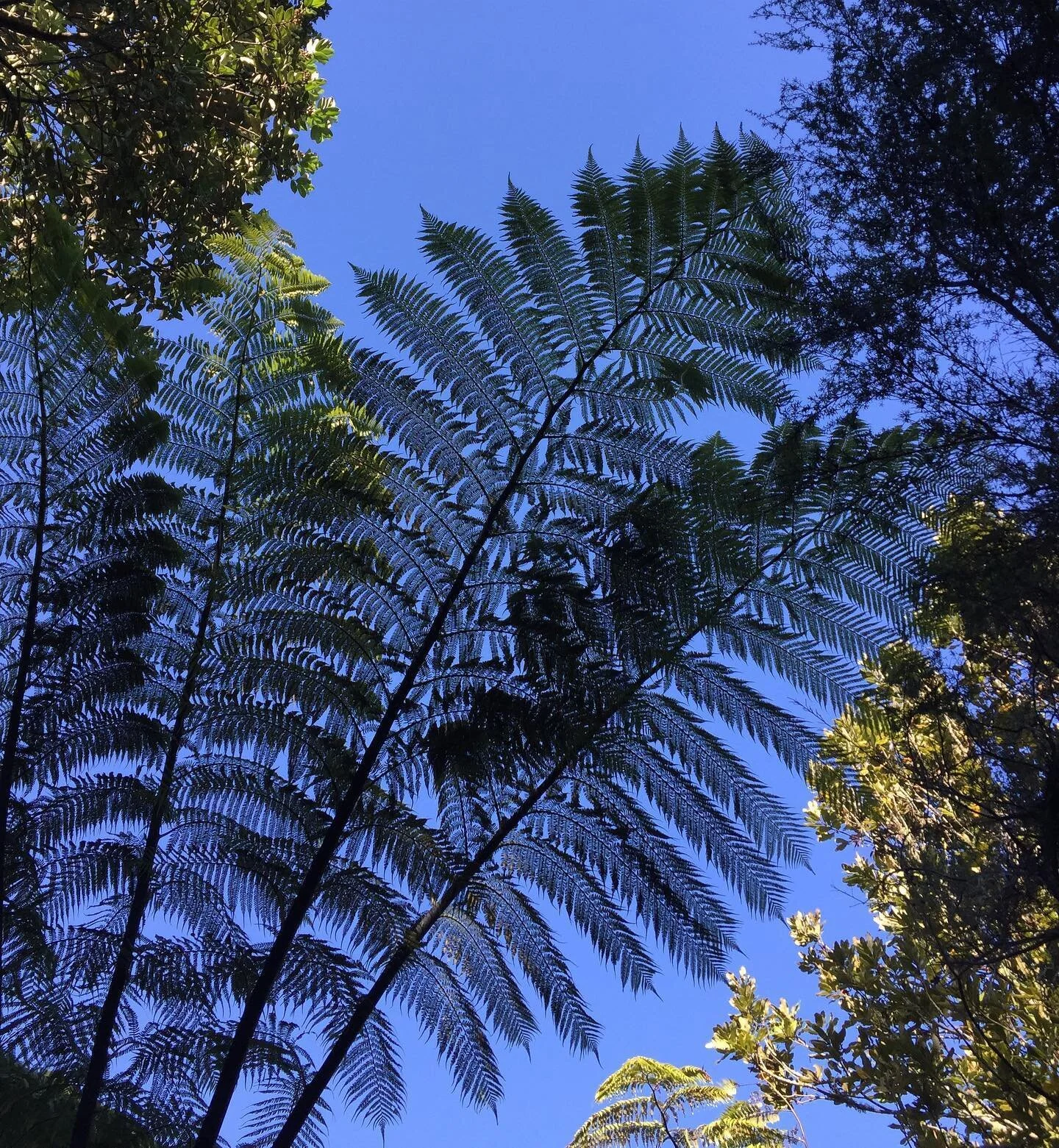 Nature, Love, and Safety